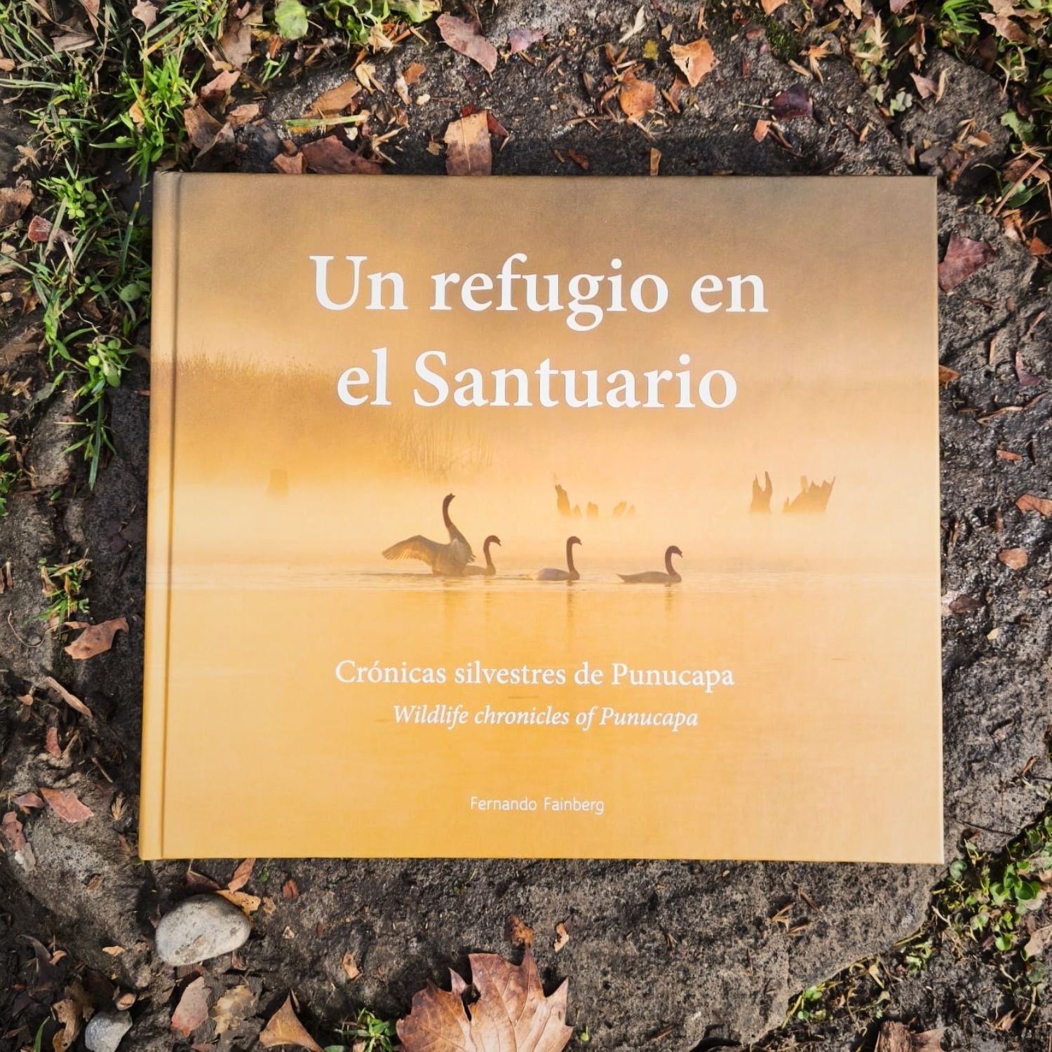 Un refugio en el santuario