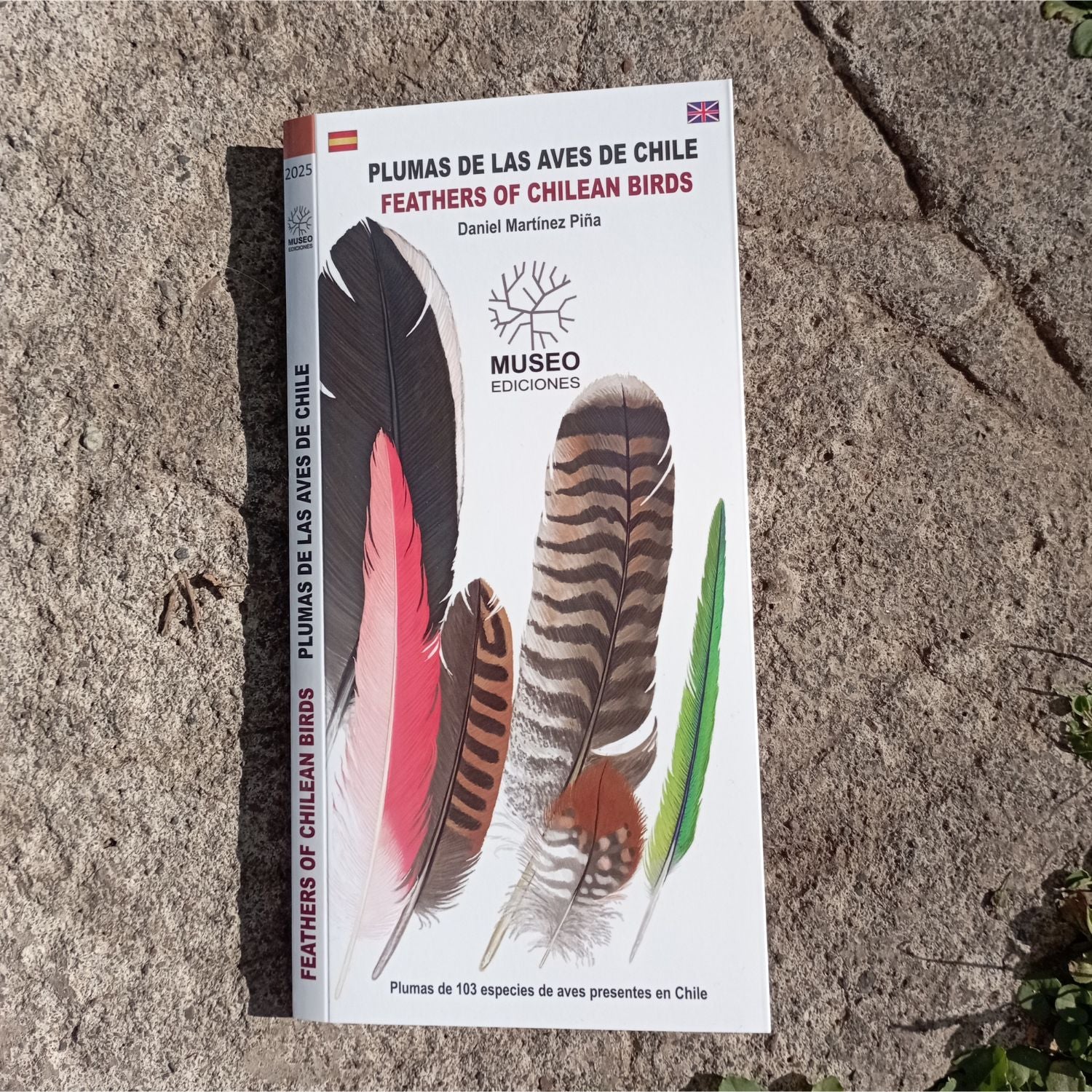 Guía de Bolsillo - Plumas de las Aves de Chile