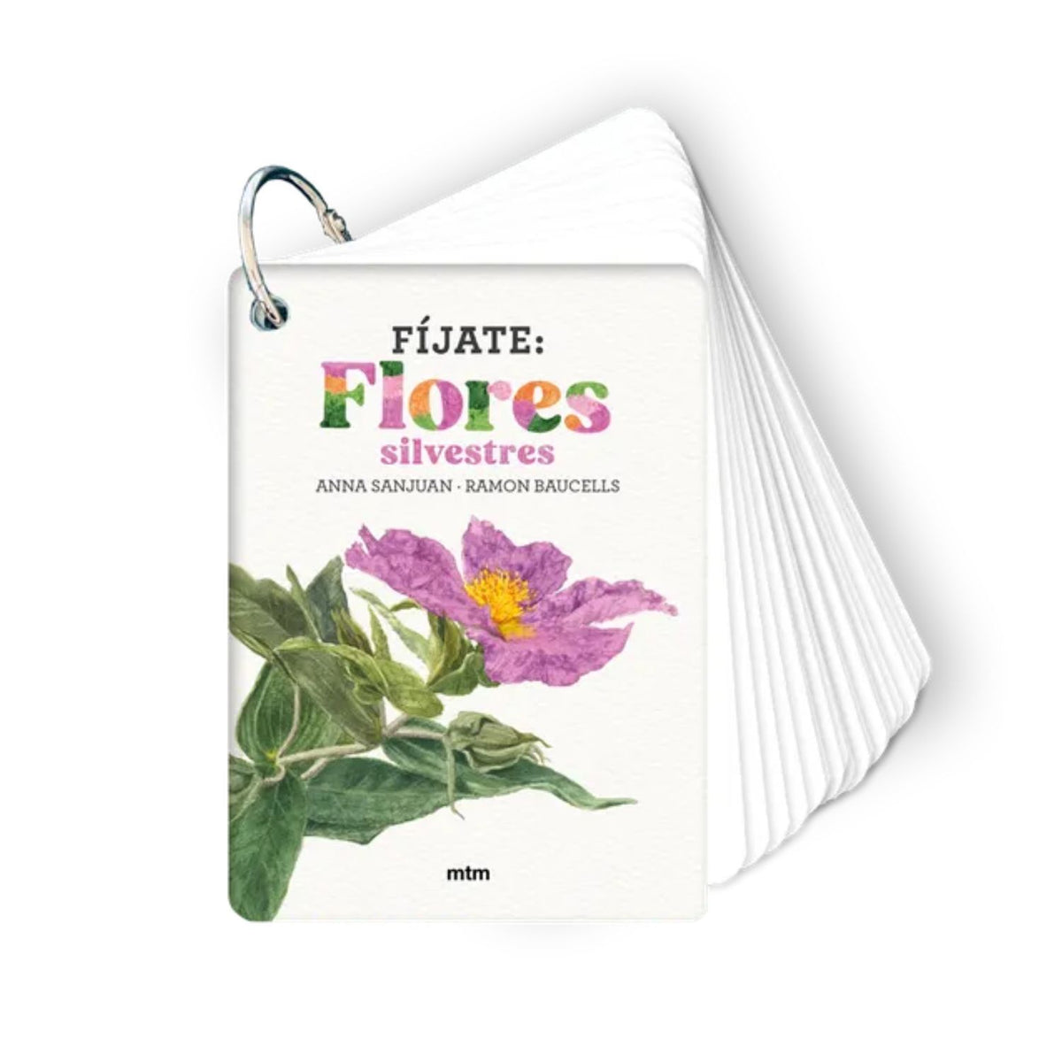 Fíjate: Flores Silvestres