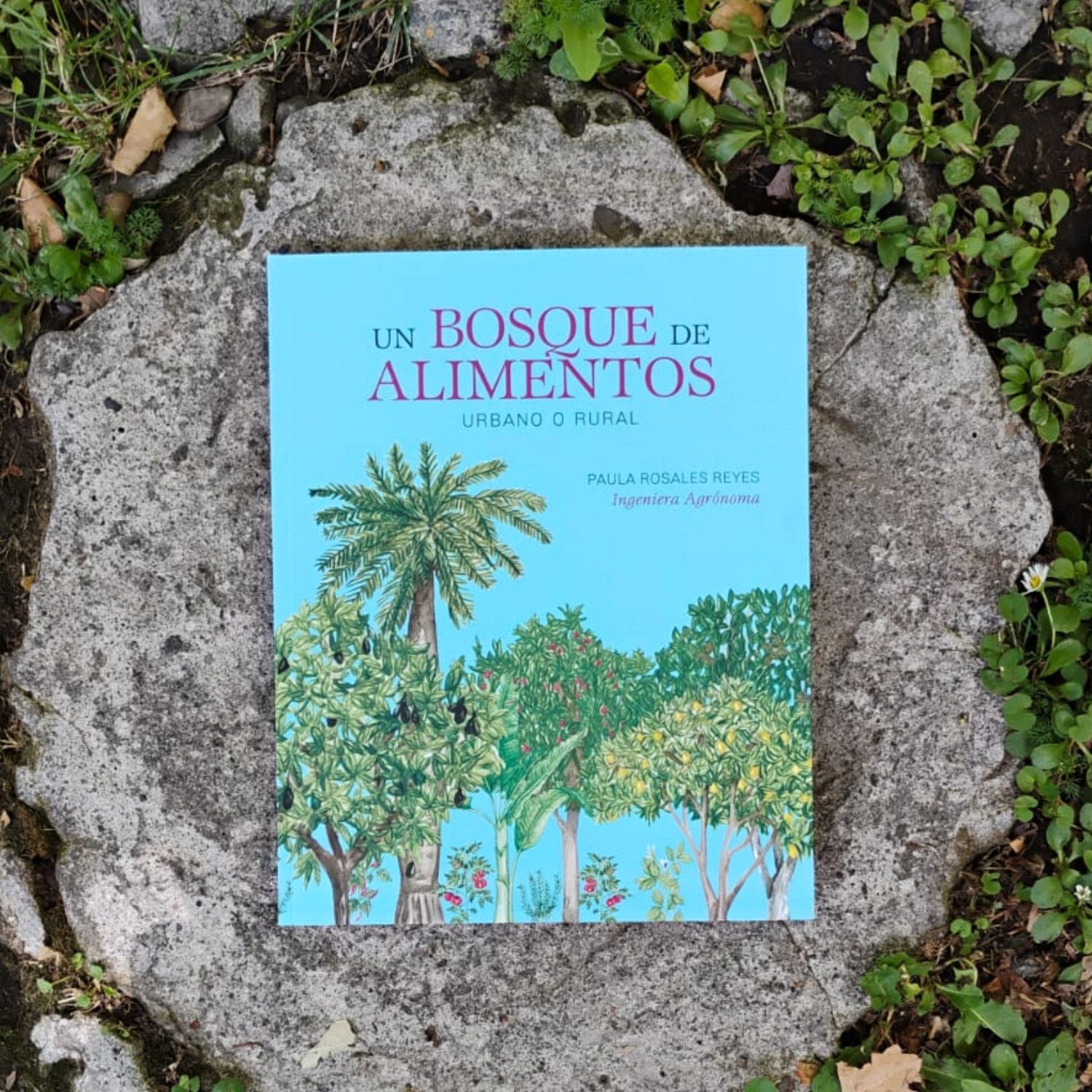 Un bosque de alimentos