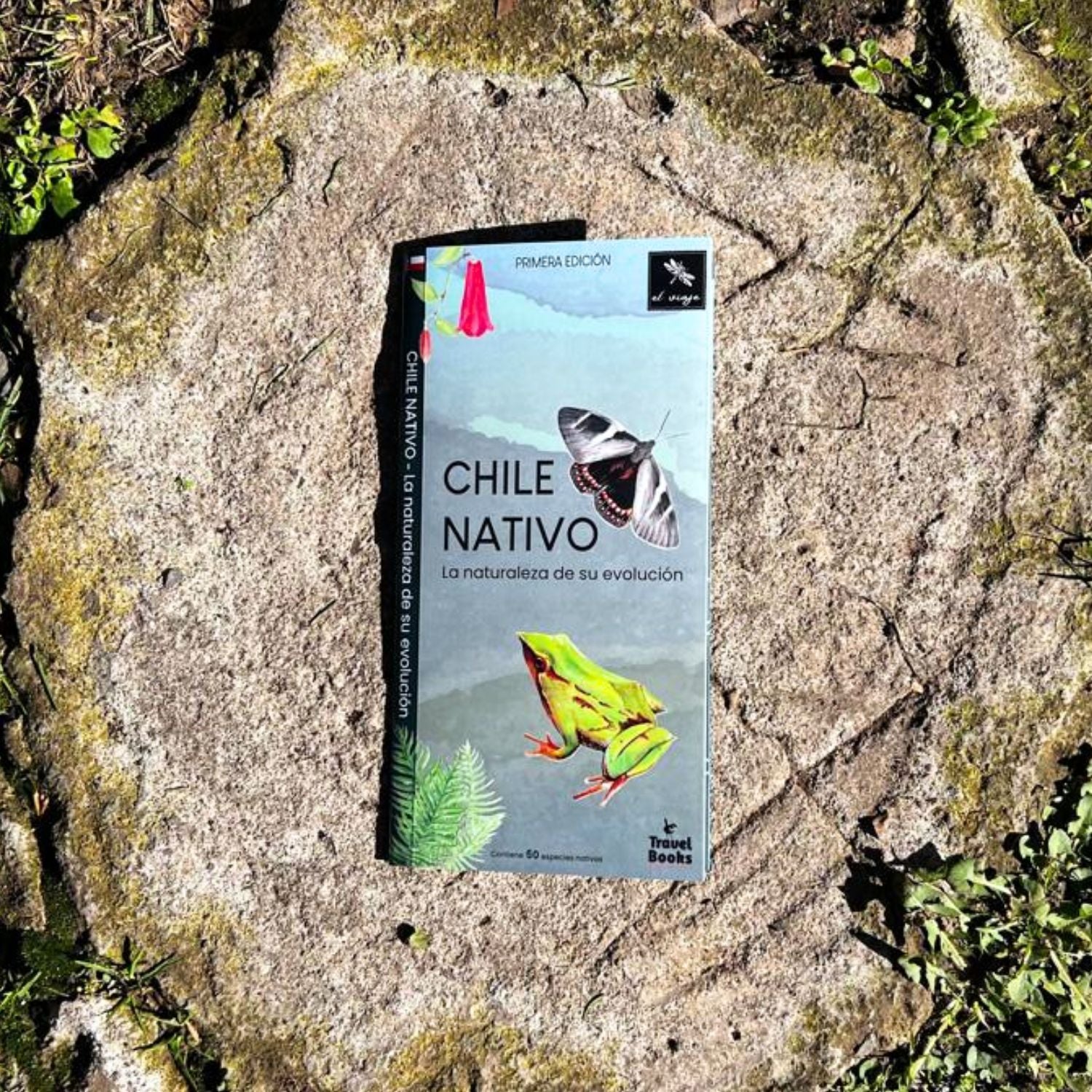 Guía de bolsillo - Chile nativo