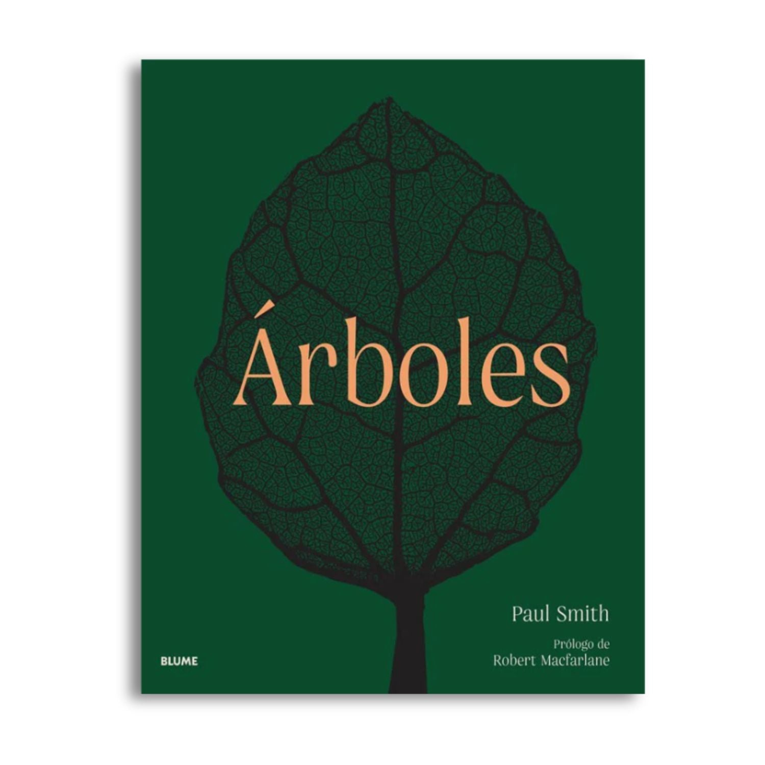Arboles de la raiz a la hoja