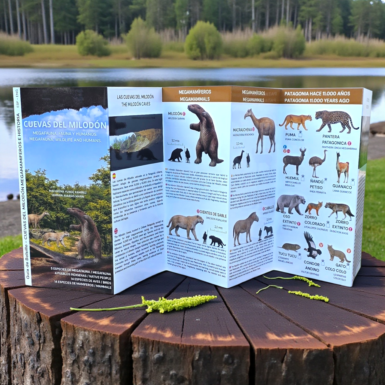 Guia de bolsillo - Cuevas del milodon (megamamiferos, fauna y humanos)