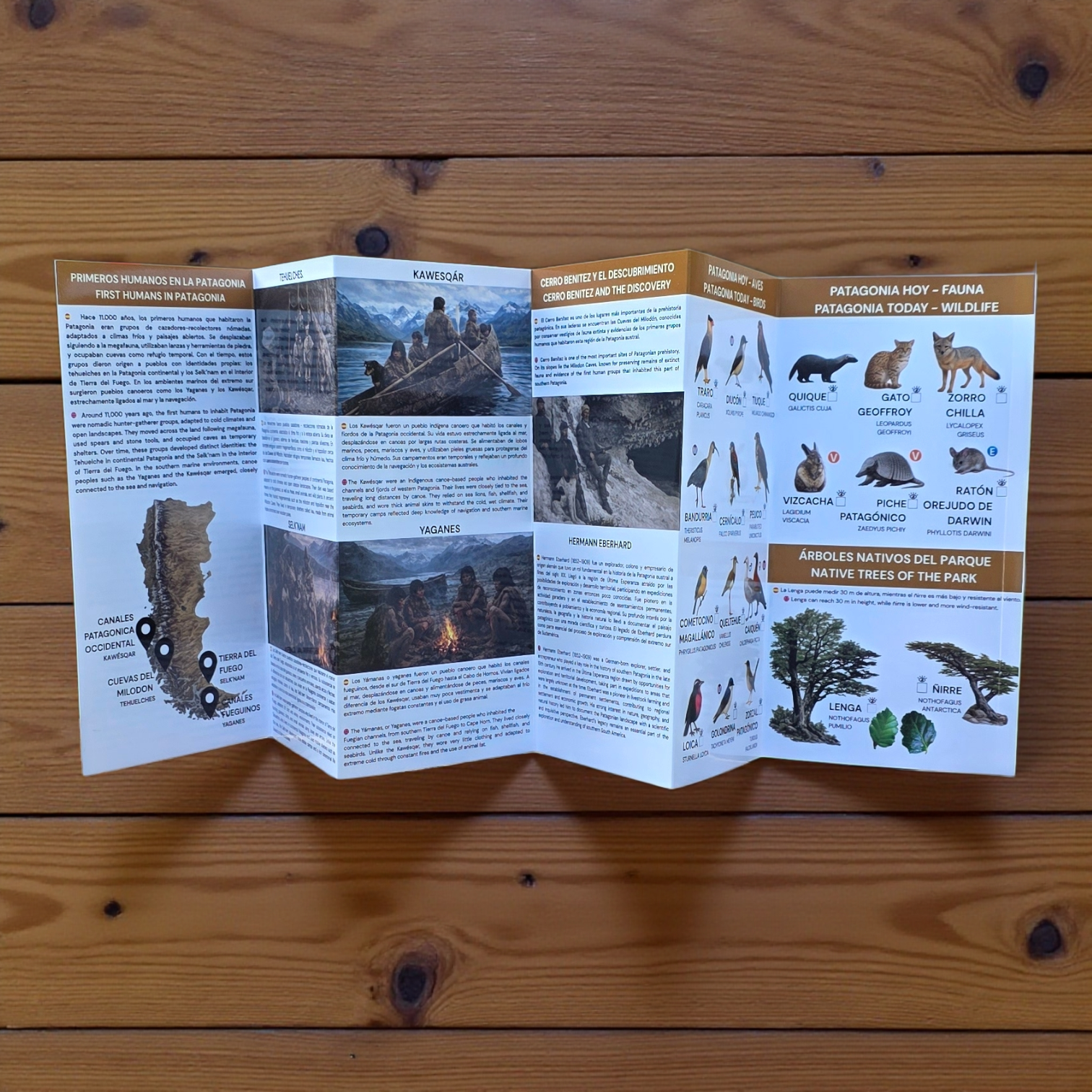 Guia de bolsillo - Cuevas del milodon (megamamiferos, fauna y humanos)