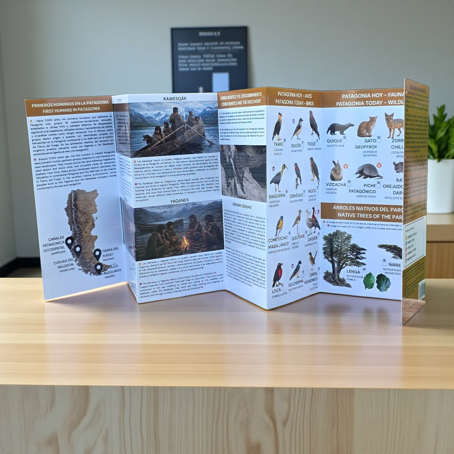 Guia de bolsillo - Cuevas del milodon (megamamiferos, fauna y humanos)