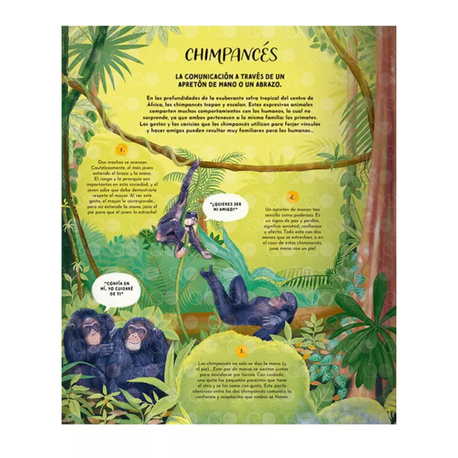 El lenguaje de la naturaleza