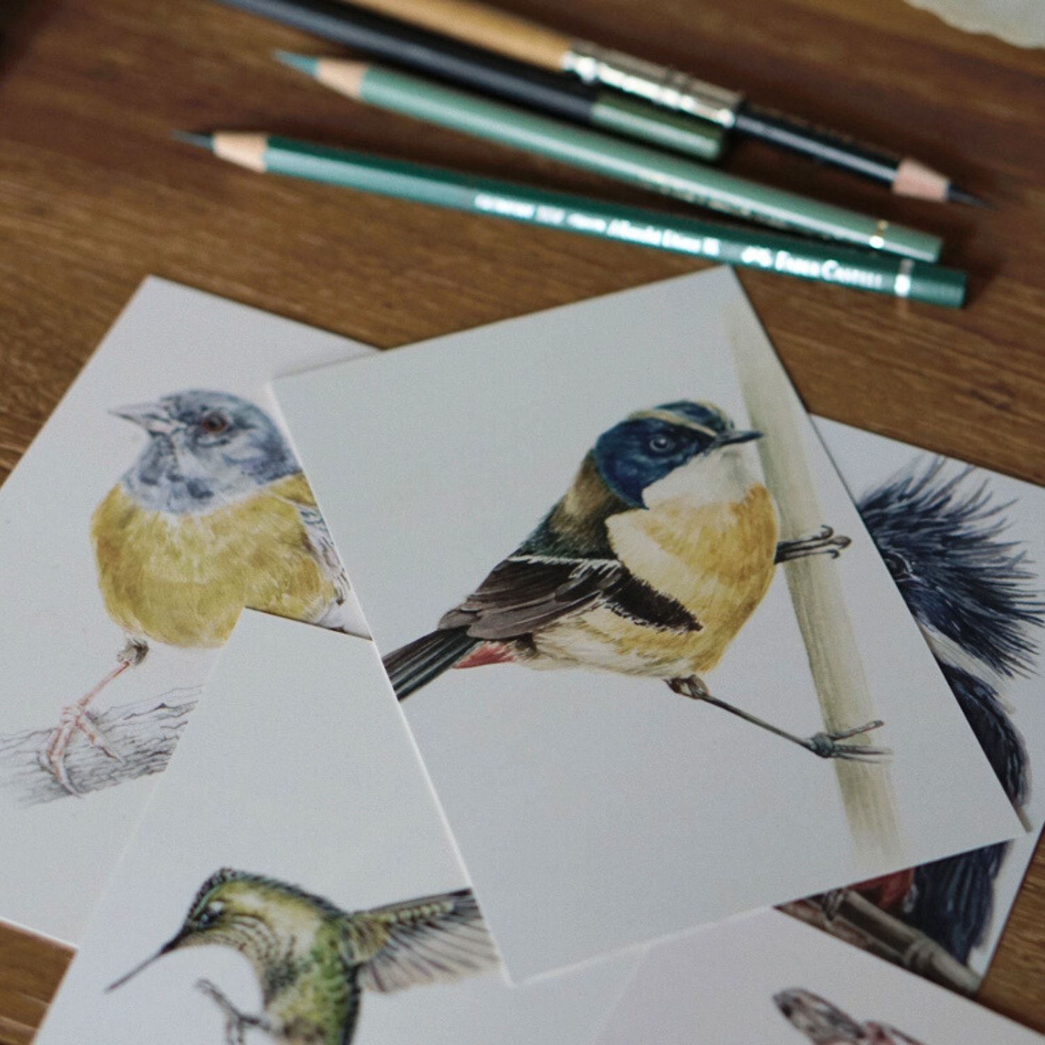 Postales pajaritos y otras aves (set 18 unidades)