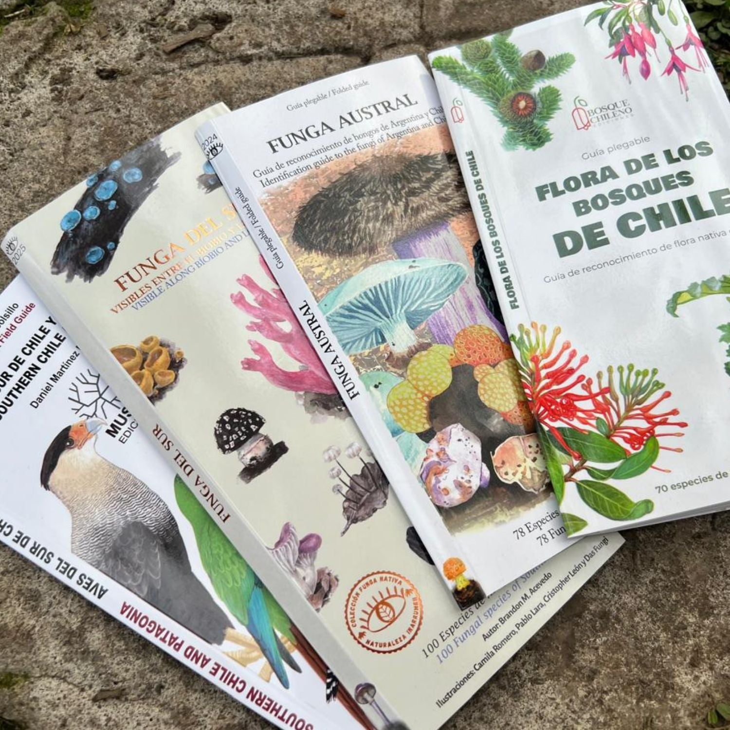 Pack sur de Chile