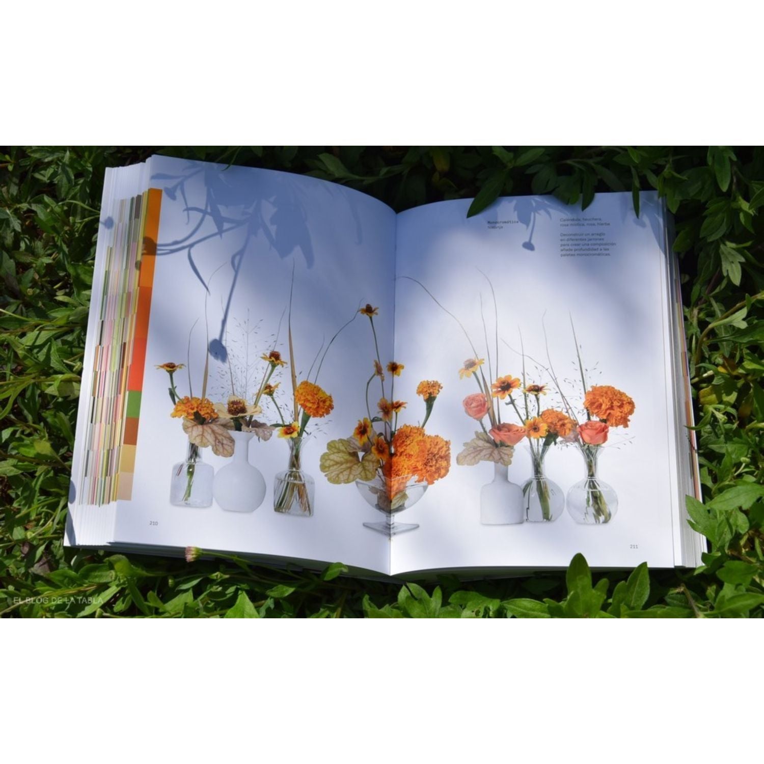 Flores: La teoría del color