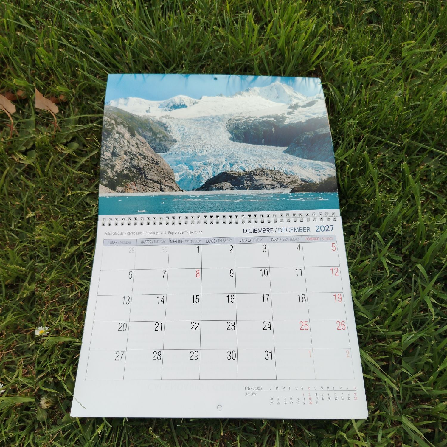 Calendario mural de Chile 2027 - Francisco Dominguez