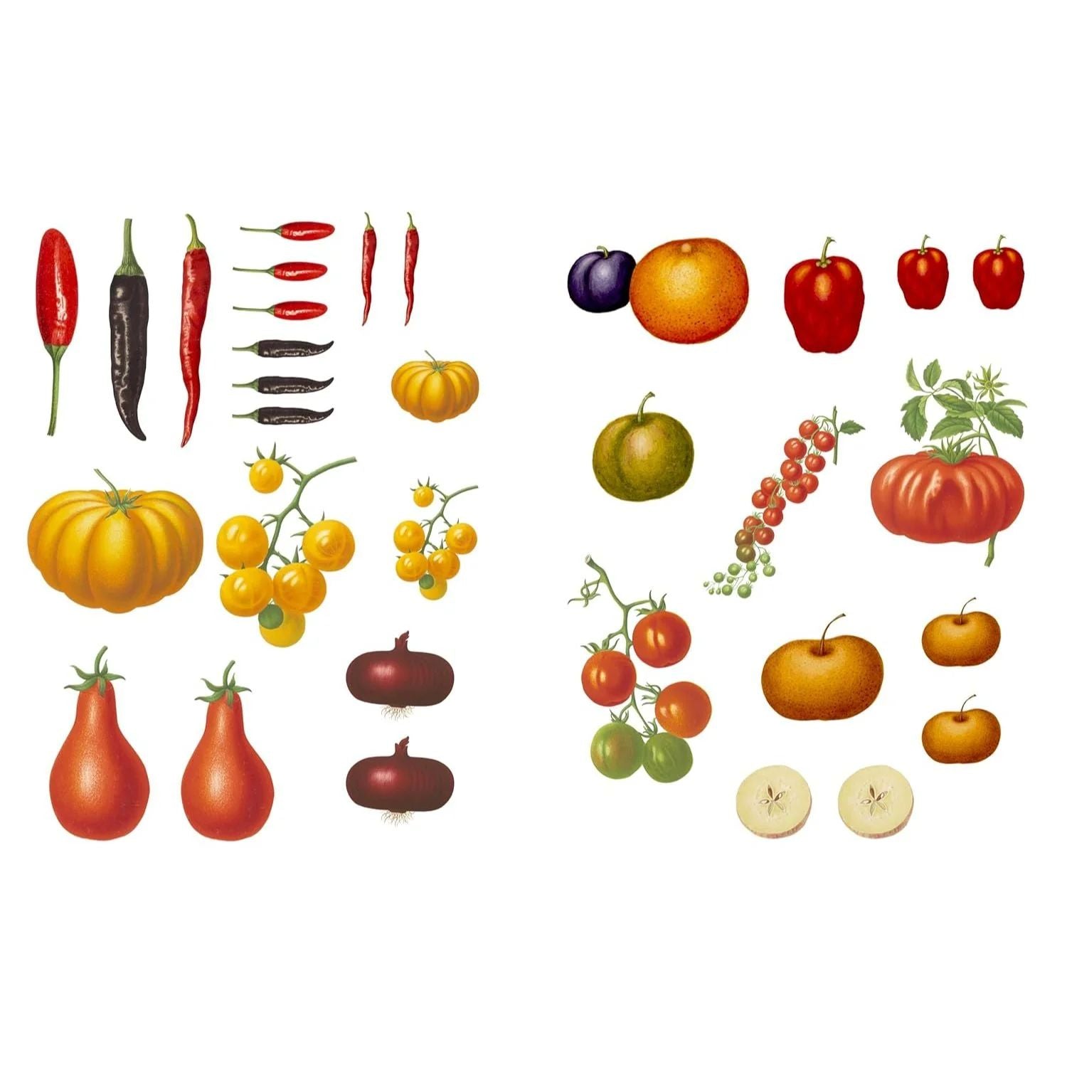 Recorta y crea collages botanicos