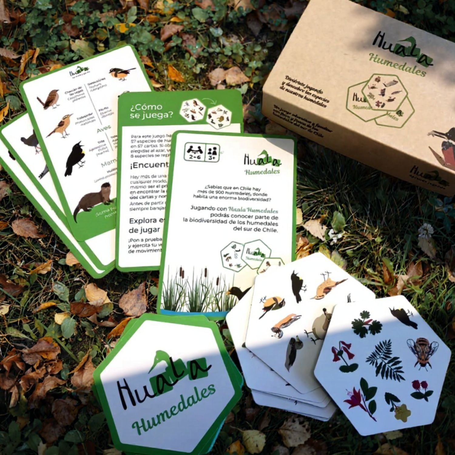 Juego de Mesa Huala Humedales