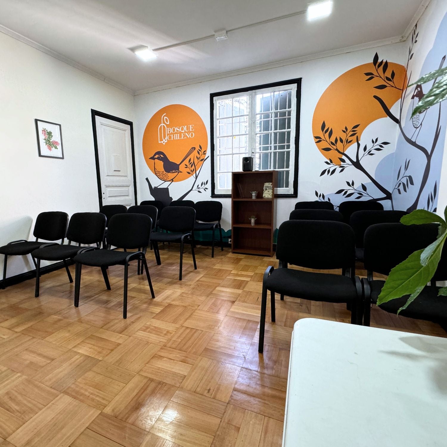 Sala Chucao