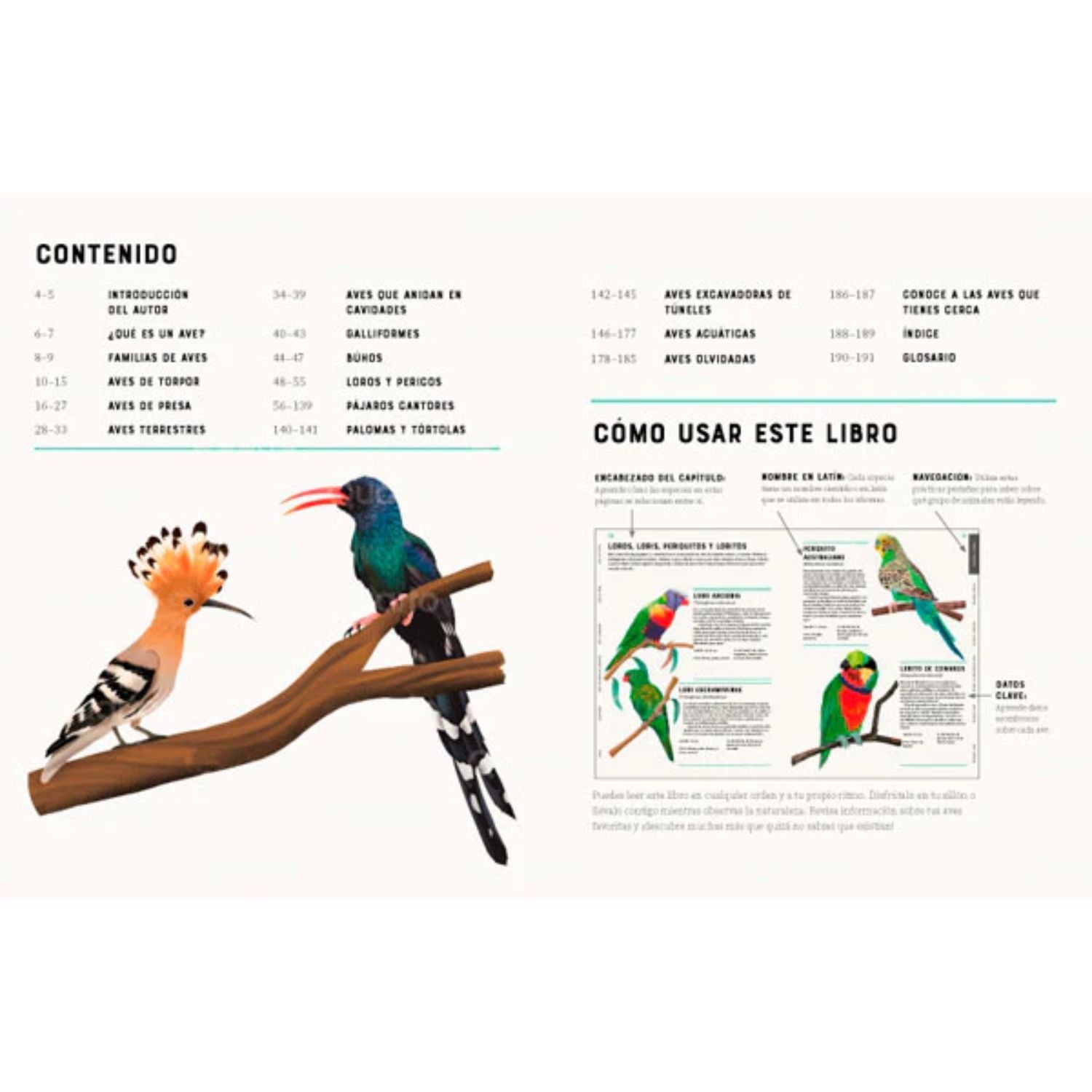 Enciclopedia de las aves