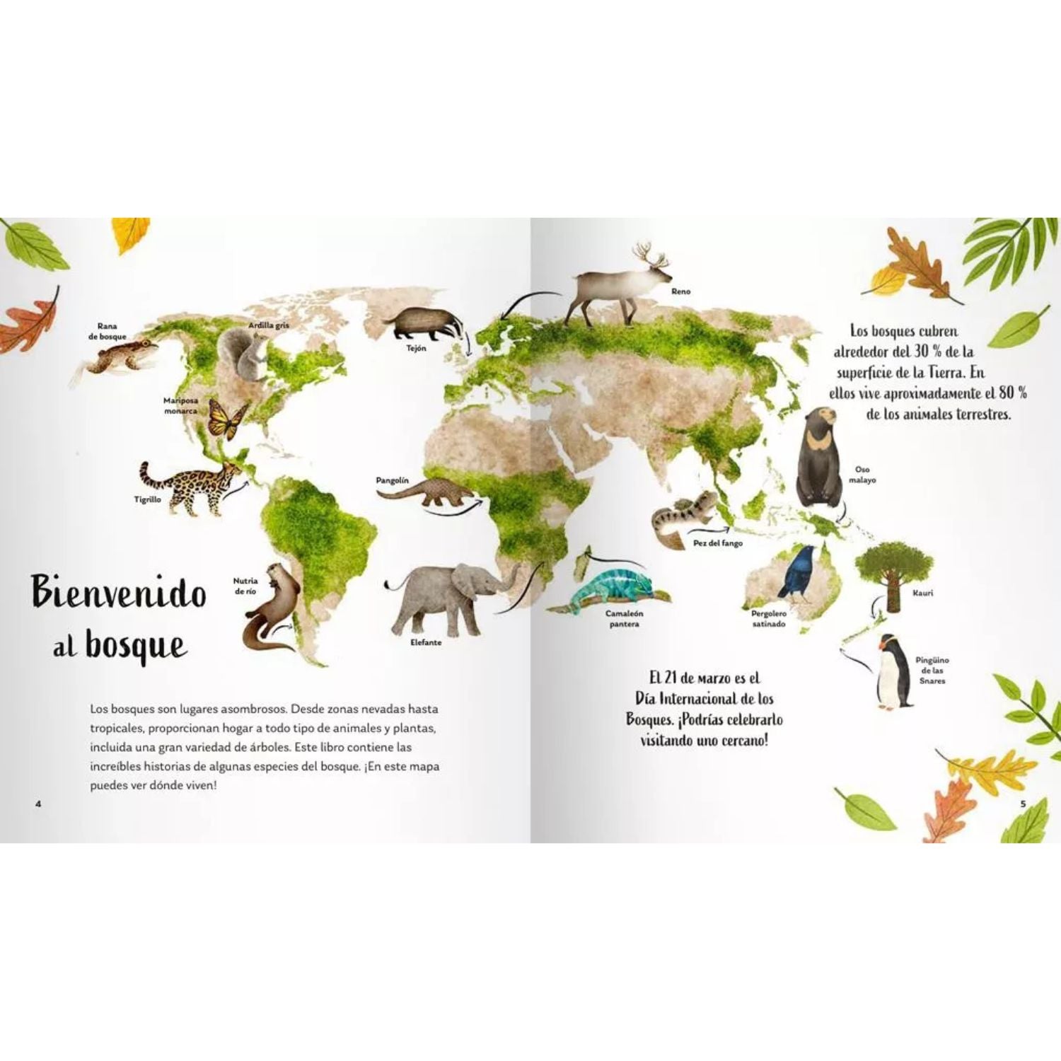 Secretos del bosque