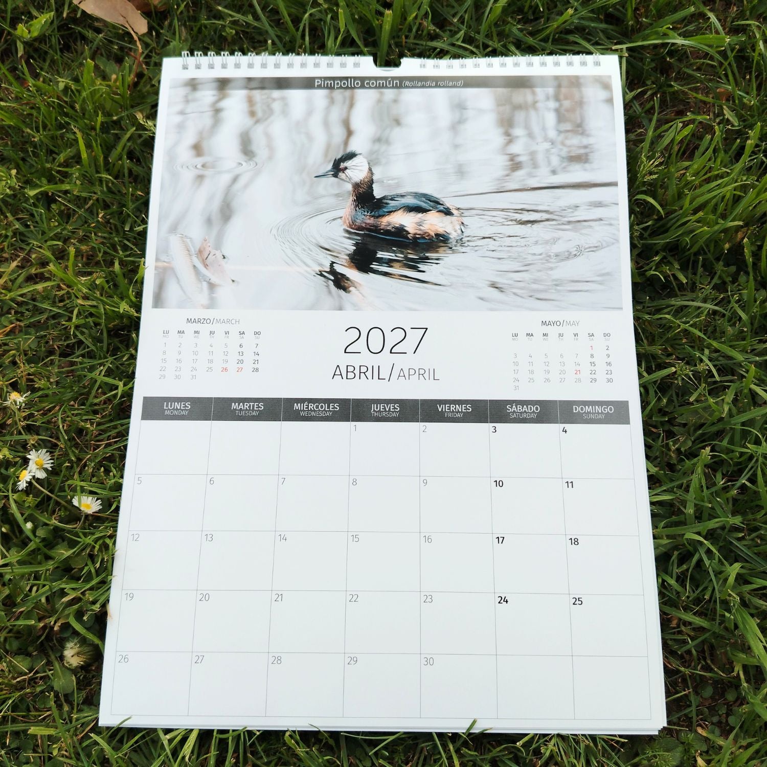 Calendario mural 2027 - Aves de Chile