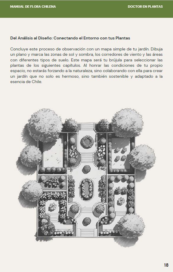 Ebook - El Manual de La Flora Chilena para jardines