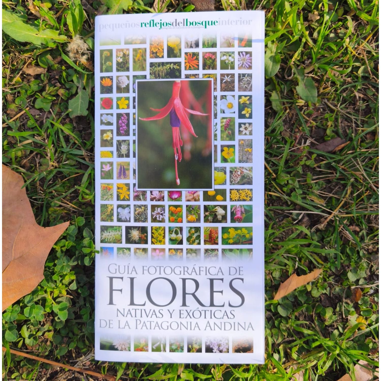 Guía fotográfica de flores nativas y exóticas de la Patagonia Andina