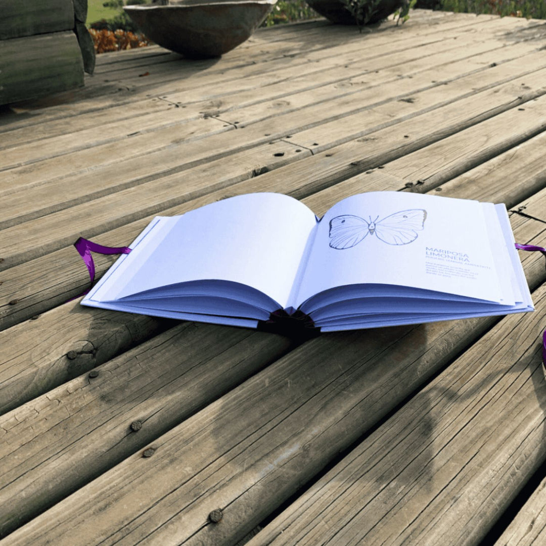 Bichalejos - Libro para colorear