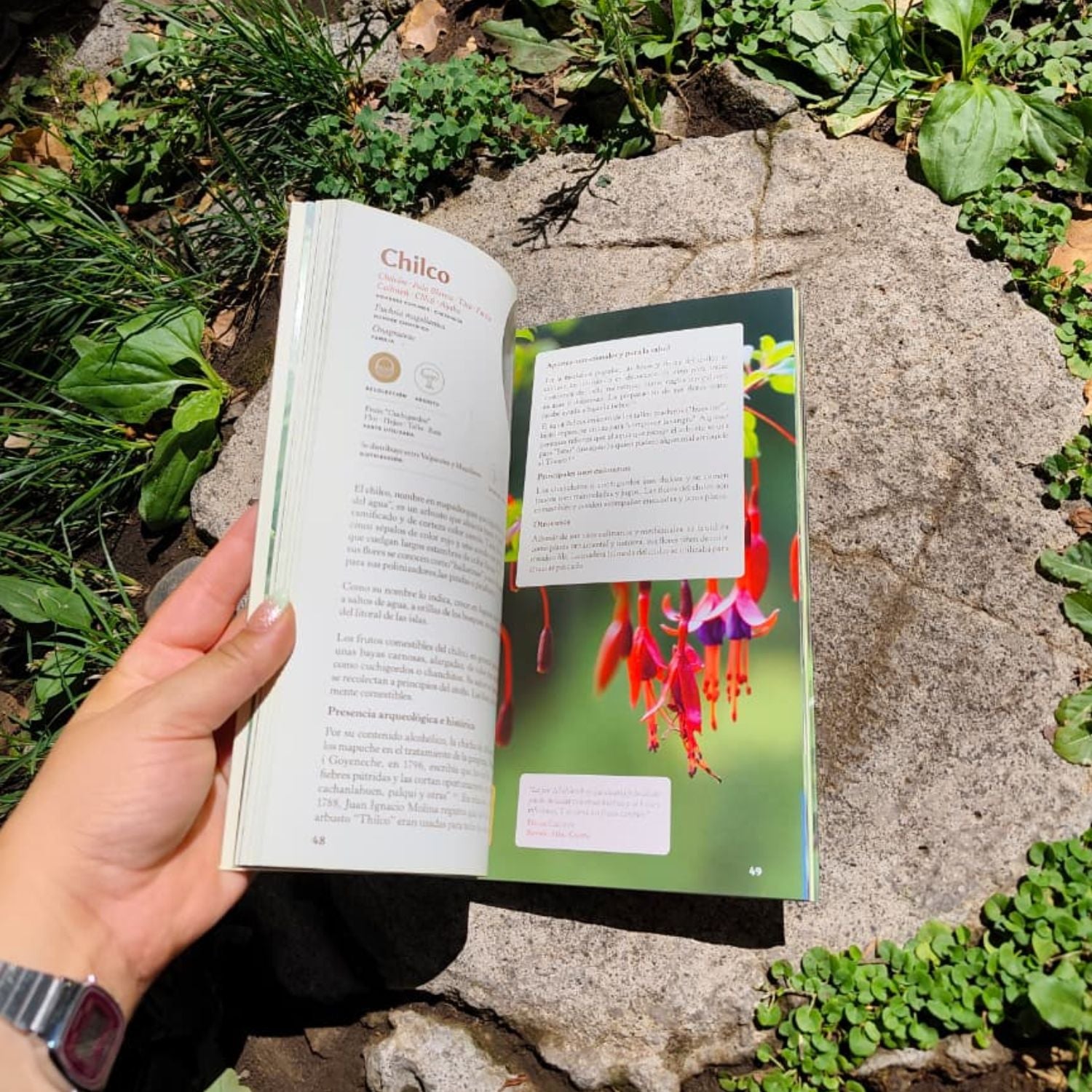 Patrimonio Alimentario del Archipiélago de Chiloé