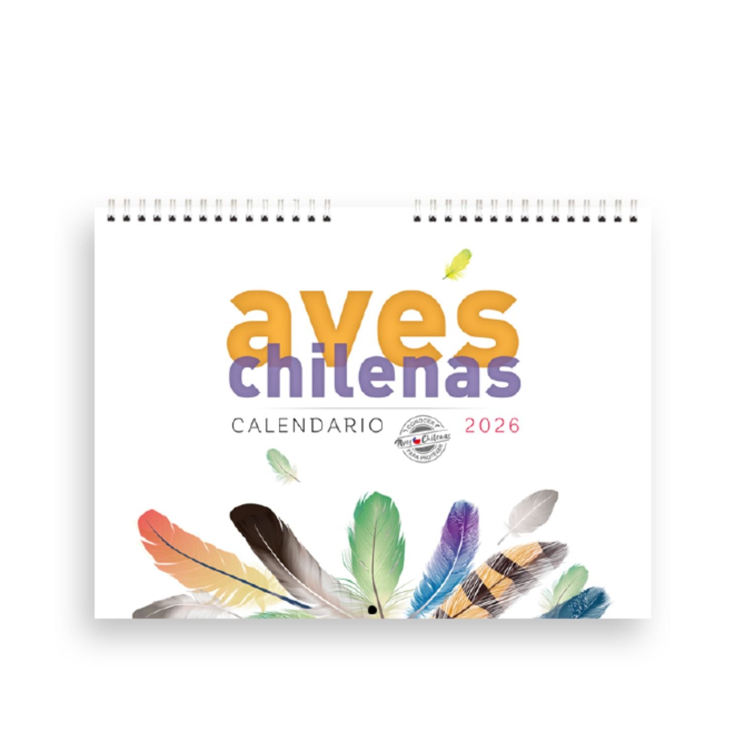 Calendario de pared Aves chilenas 2026 - Pablo Maldonado