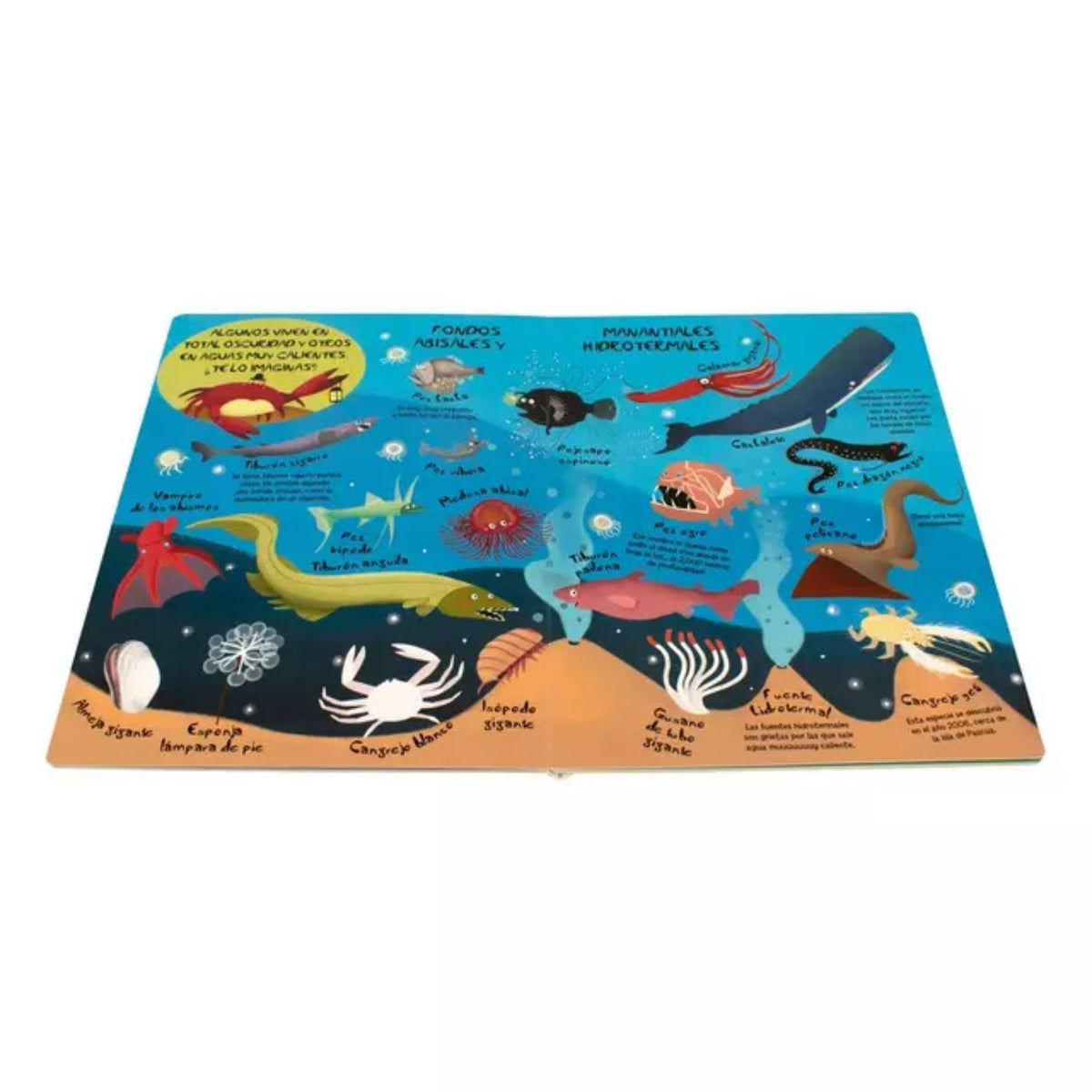 Mi gran libro de los animales marinos