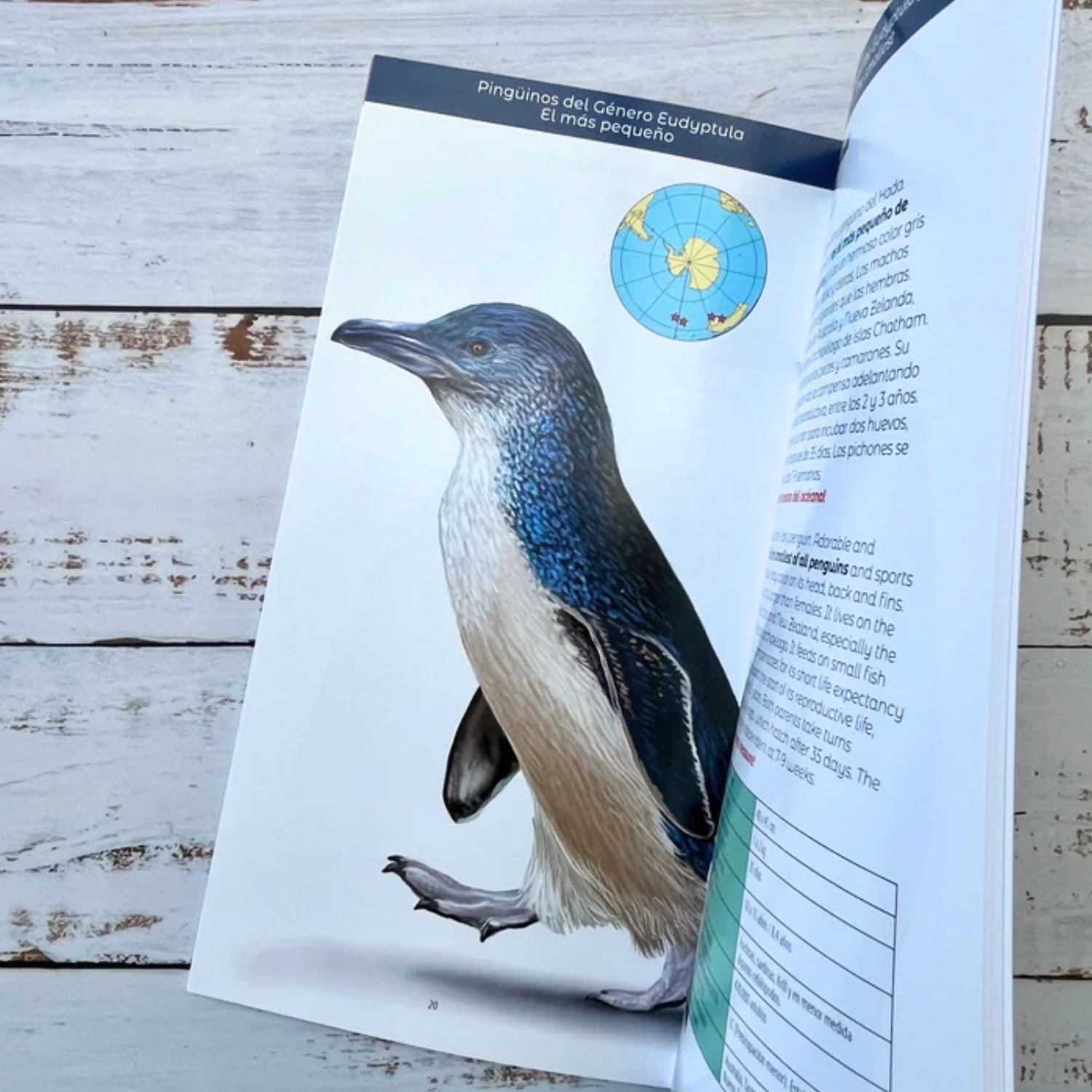 Los Pingüinos. Soberanos del hielo y mar