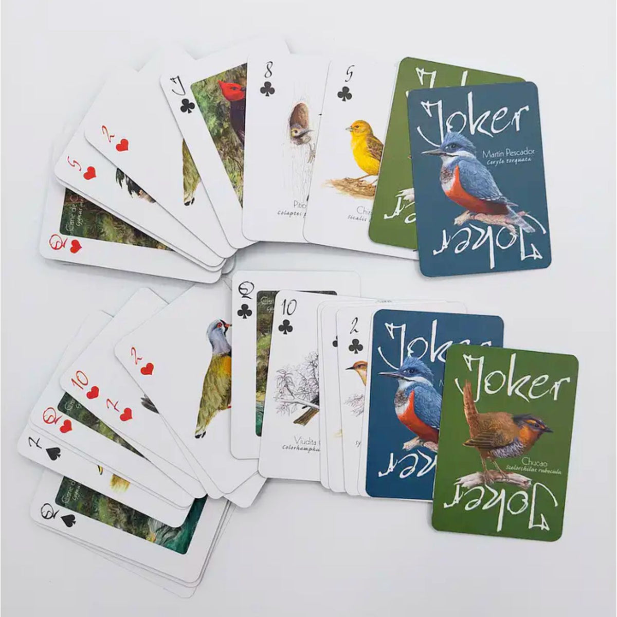 Juego de naipes: Aves de la Selva Patagónica