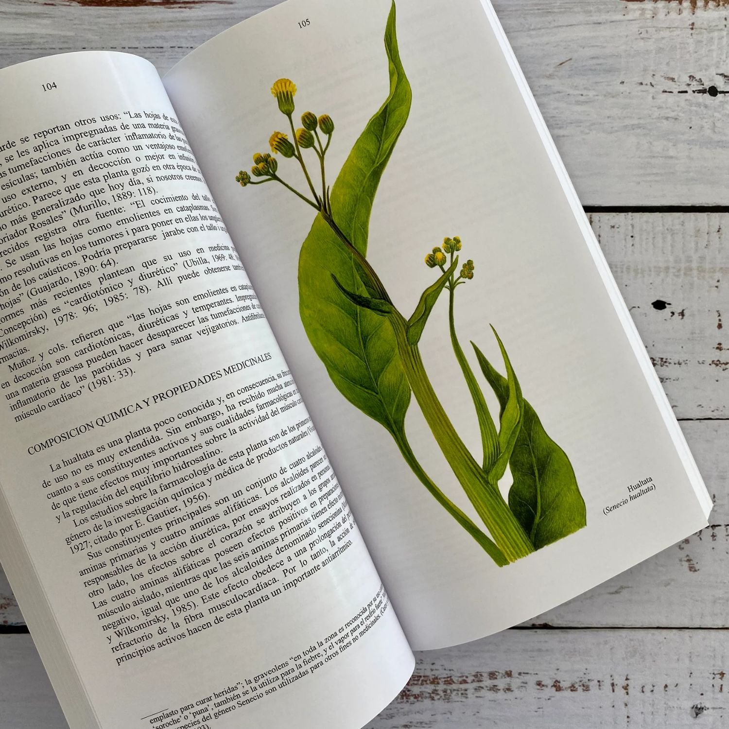 Plantas Medicinales de Uso Común en Chile Tercera edición