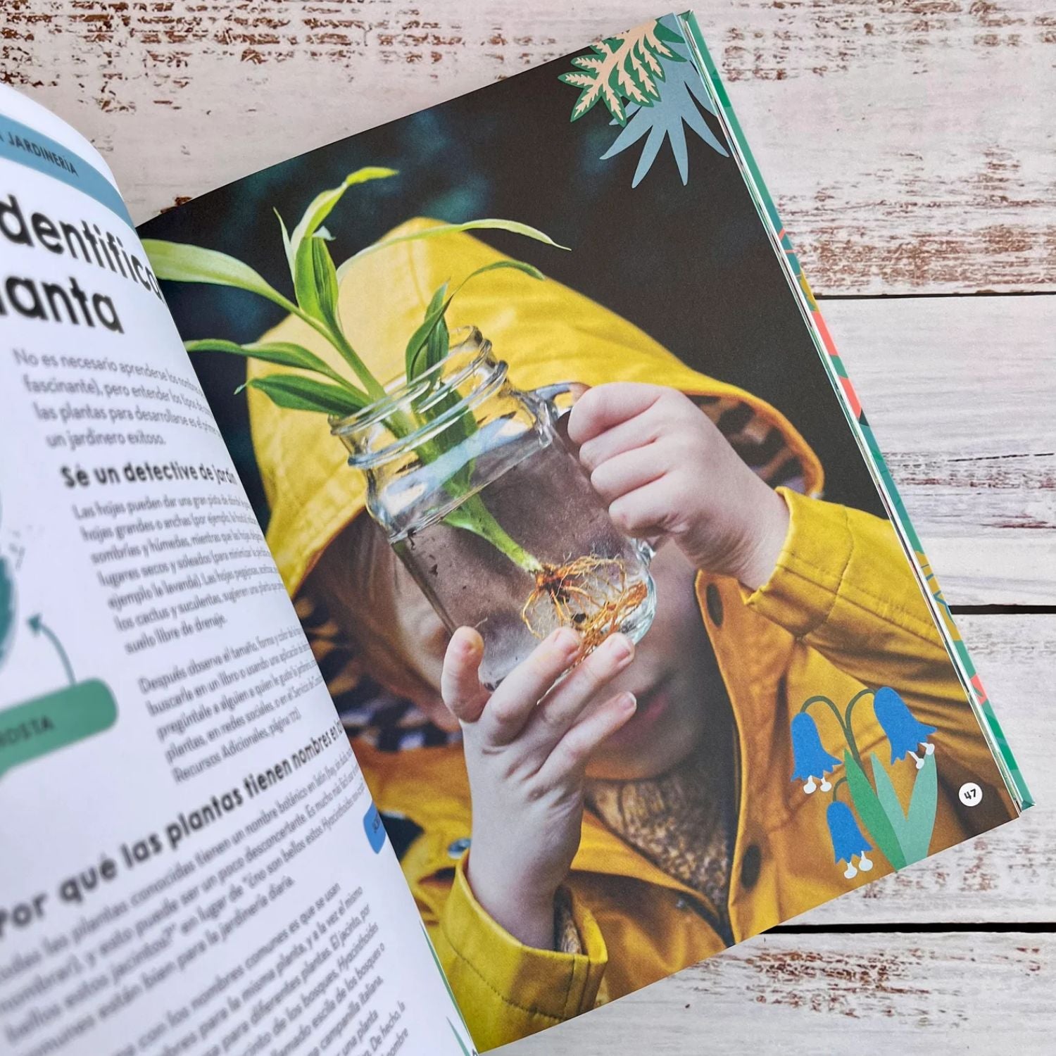 Jardineria y huertos familiares guía práctica