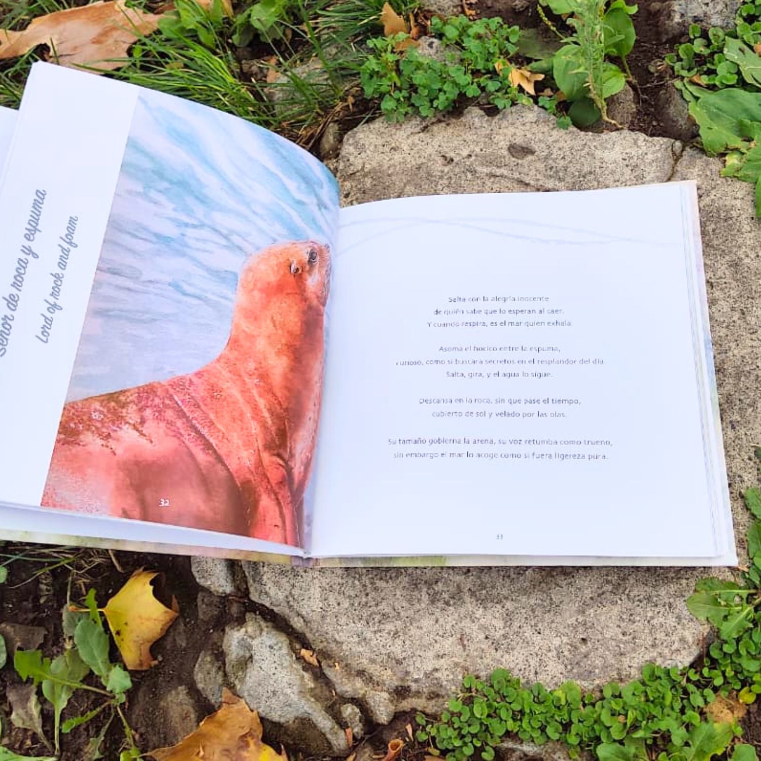 Fauna Chilena - 15 acuarelas