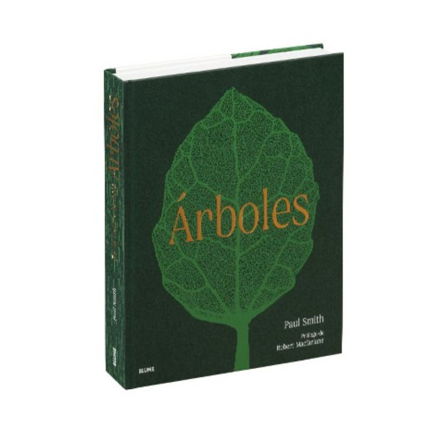 Arboles de la raiz a la hoja