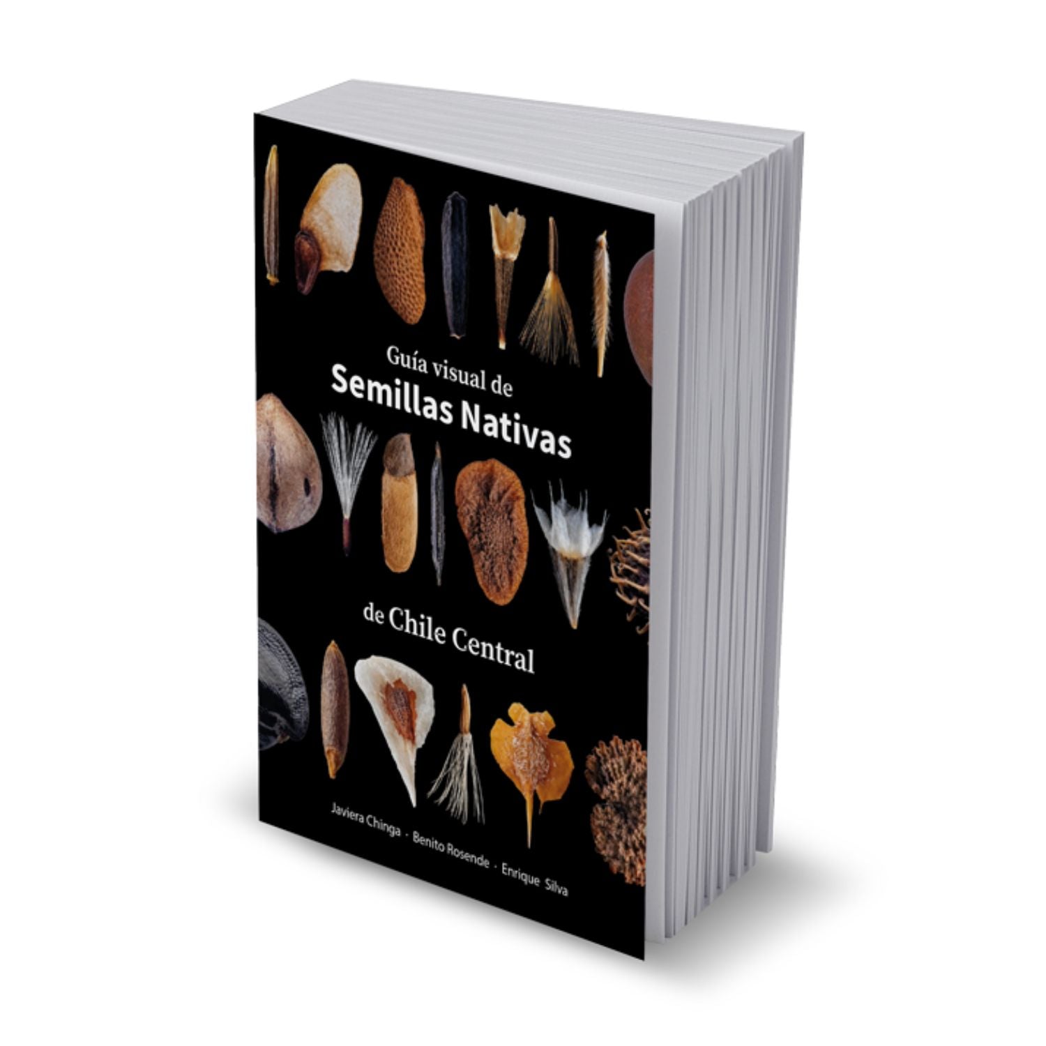Guía visual de semillas nativas de Chile central