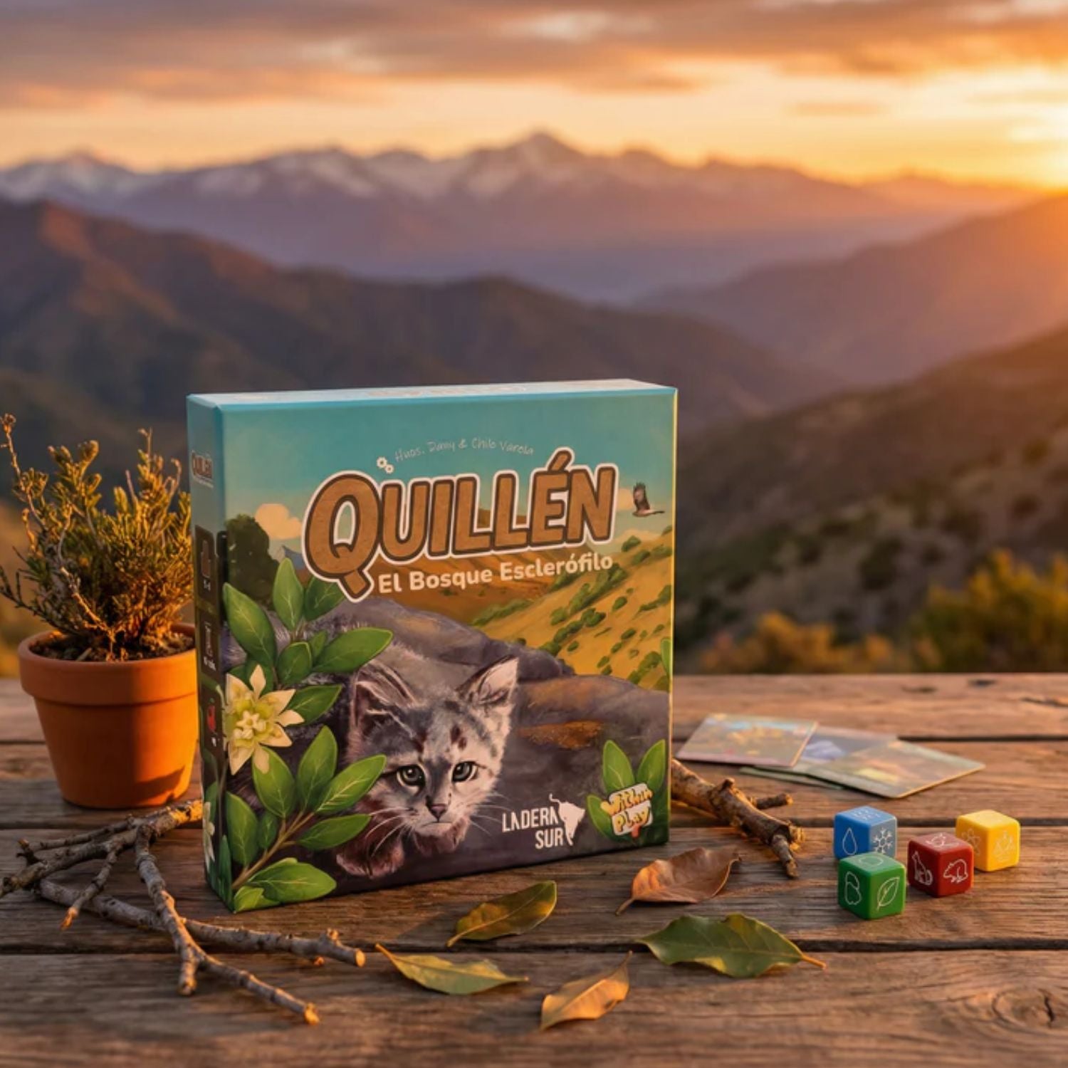 Quillén: El bosque esclerófilo