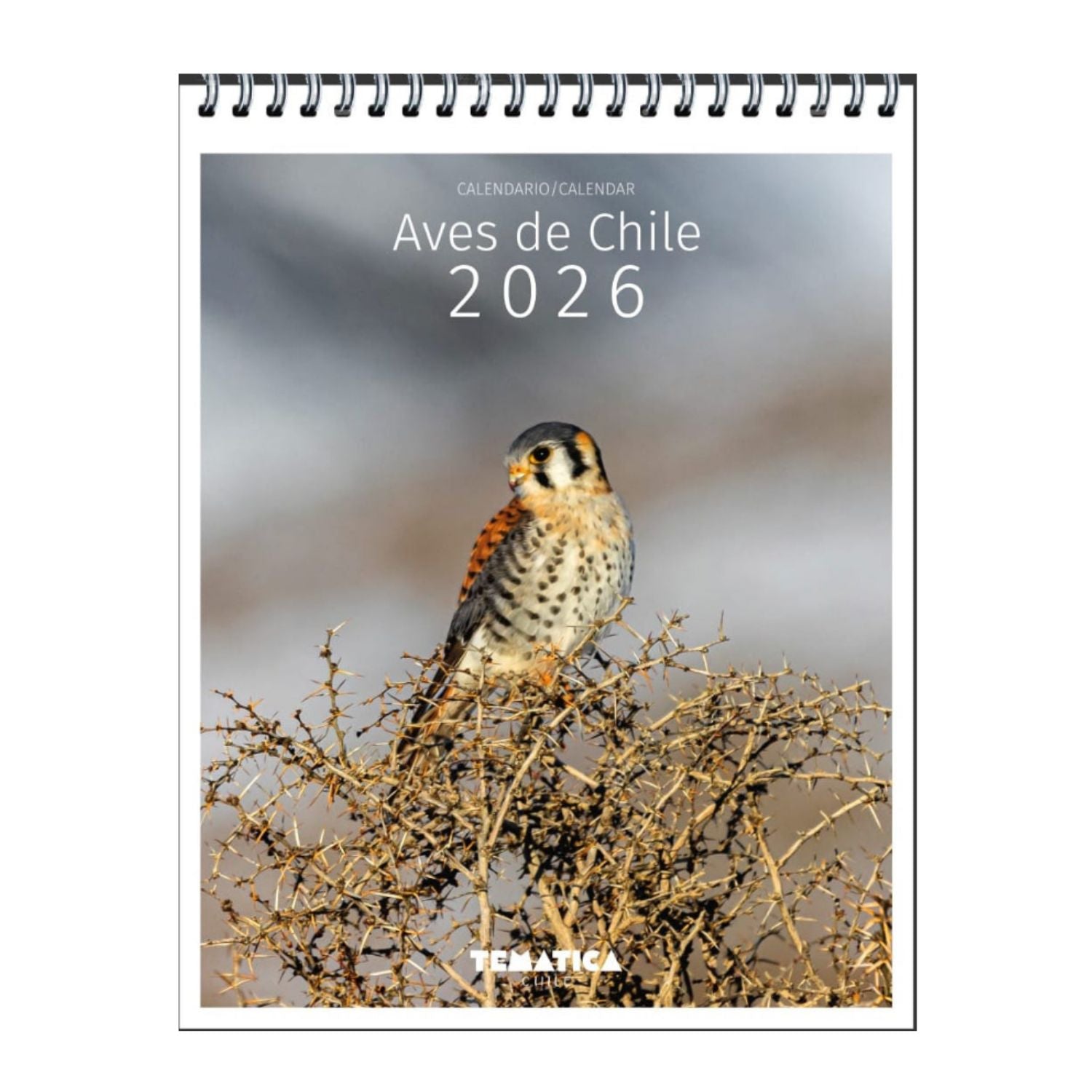 Calendario Mural Aves de Chile 2026