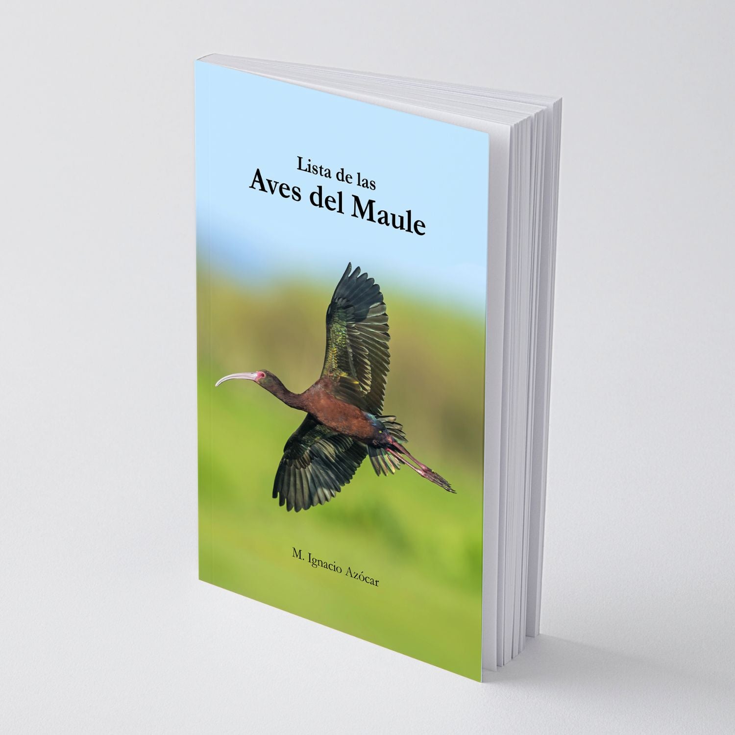 Lista de las Aves del Maule