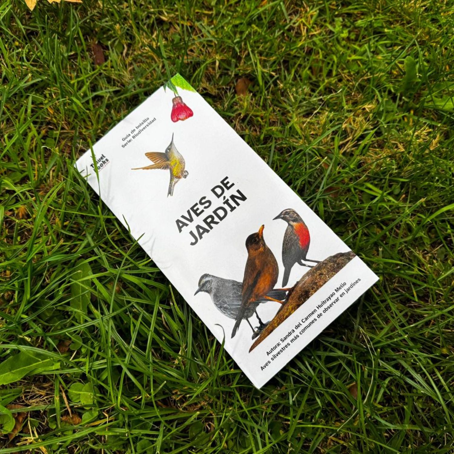 Guía de bolsillo - Aves de jardín