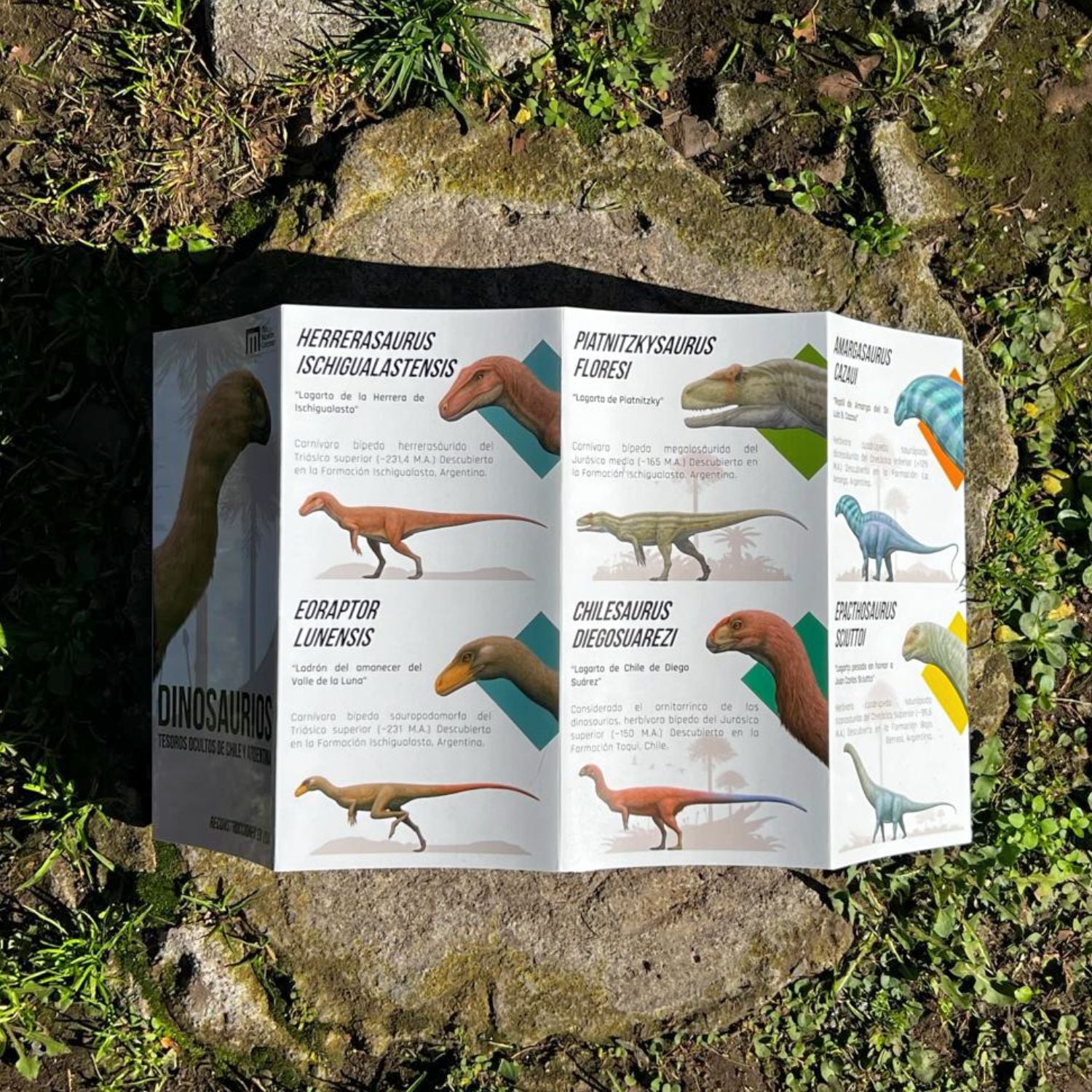 Guia de bolsillo - Dinosaurios: Tesoros Ocultos de Chile y Argentina