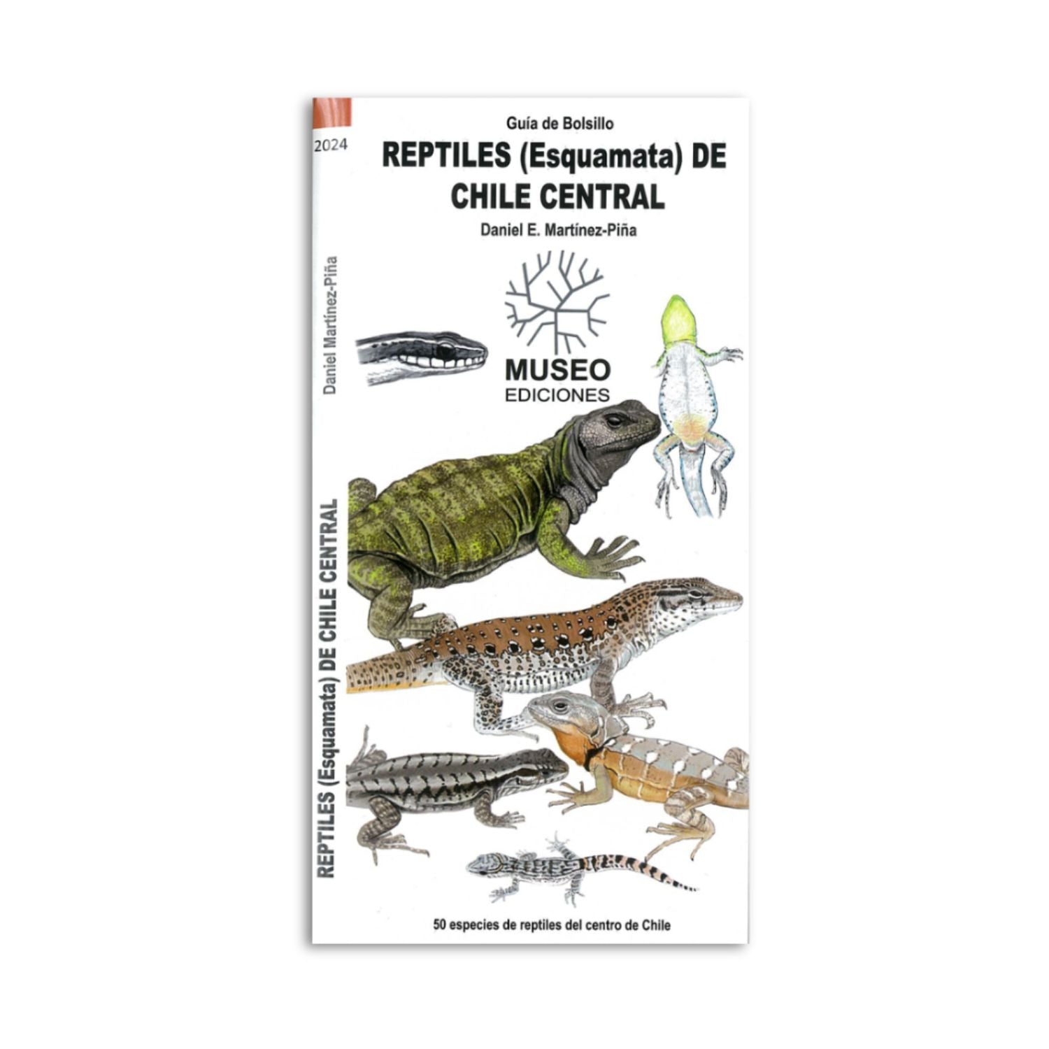 Guía de Bolsillo - Reptiles de Chile Central Segunda Edición