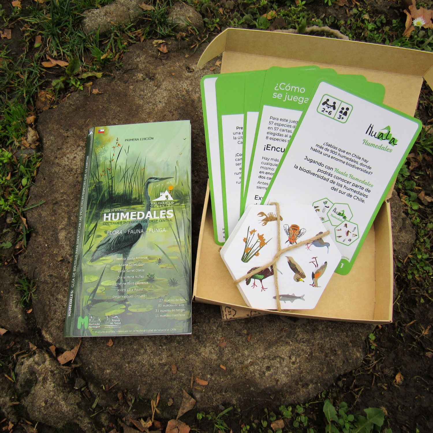 Pack de bolsillo Expedición humedales