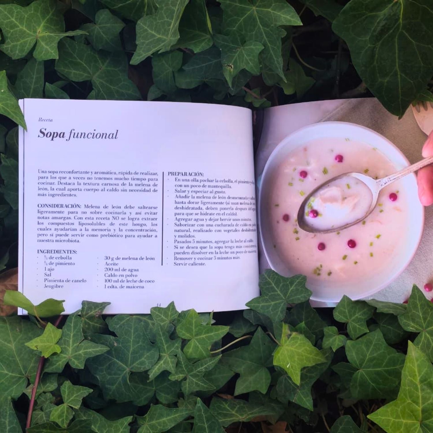 Recetas y Setas: Adaptogenos III