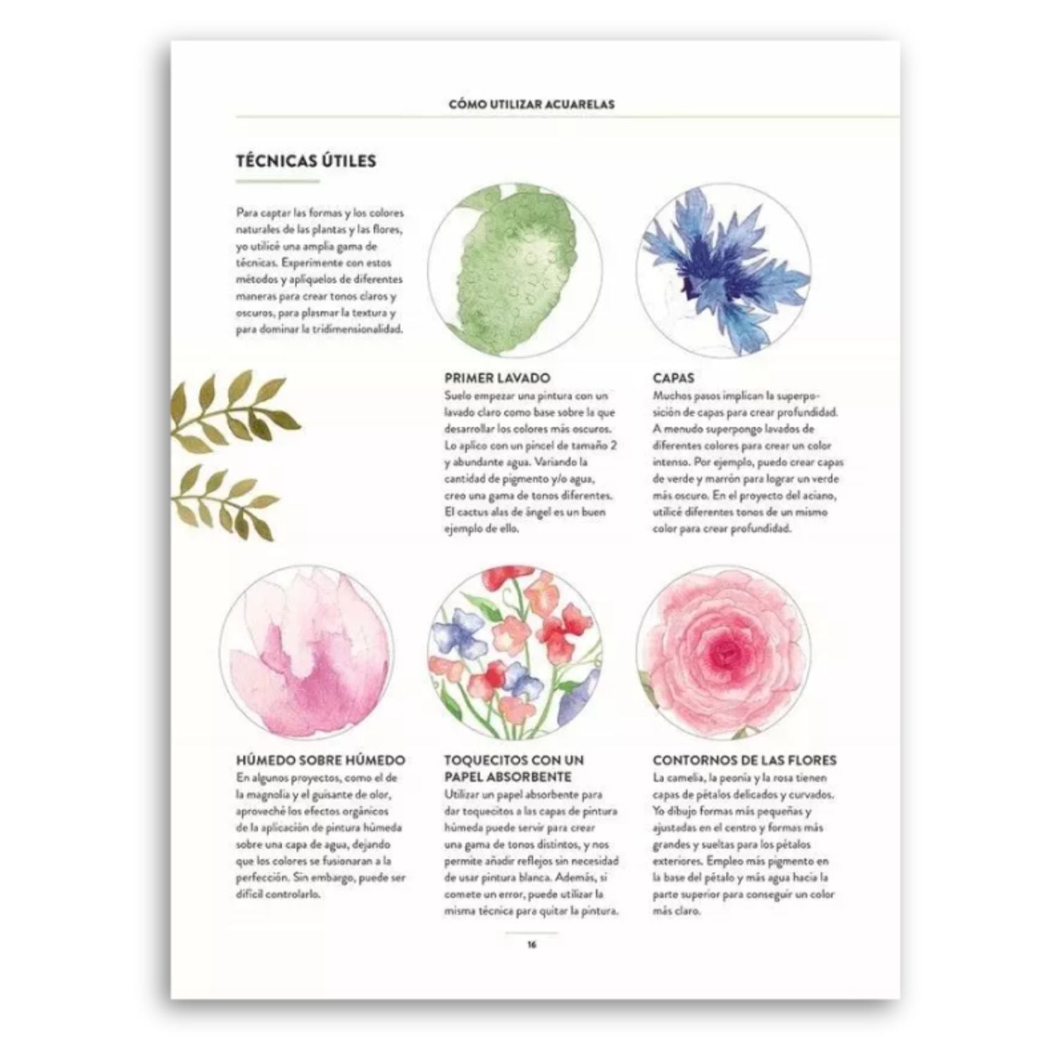 Pintar Acuarelas en 10 pasos: Flores y Plantas