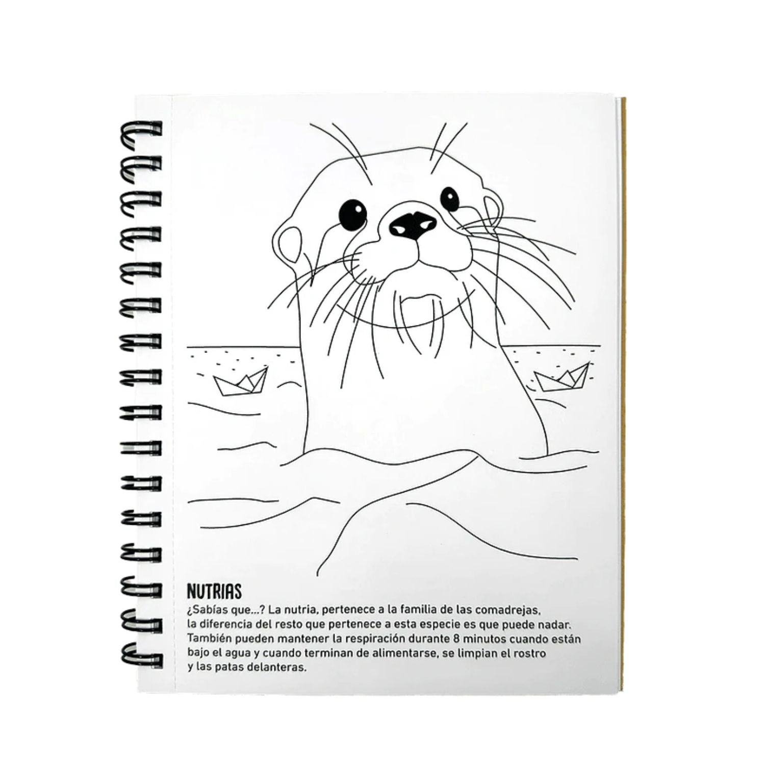 Libro para pintar - Curiosidades del Oceano