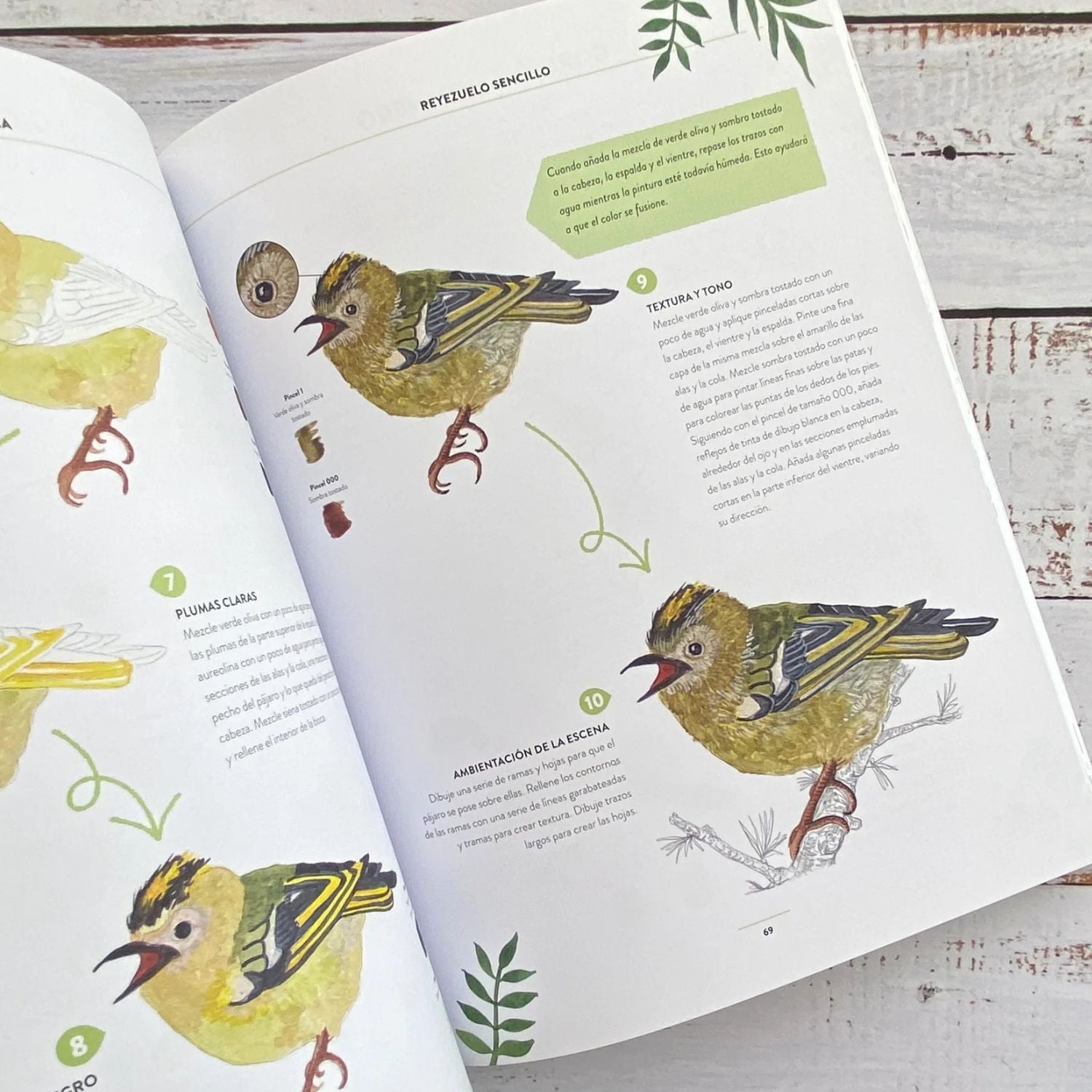 Pintar Acuarelas en 10 pasos: Aves de todo el Mundo