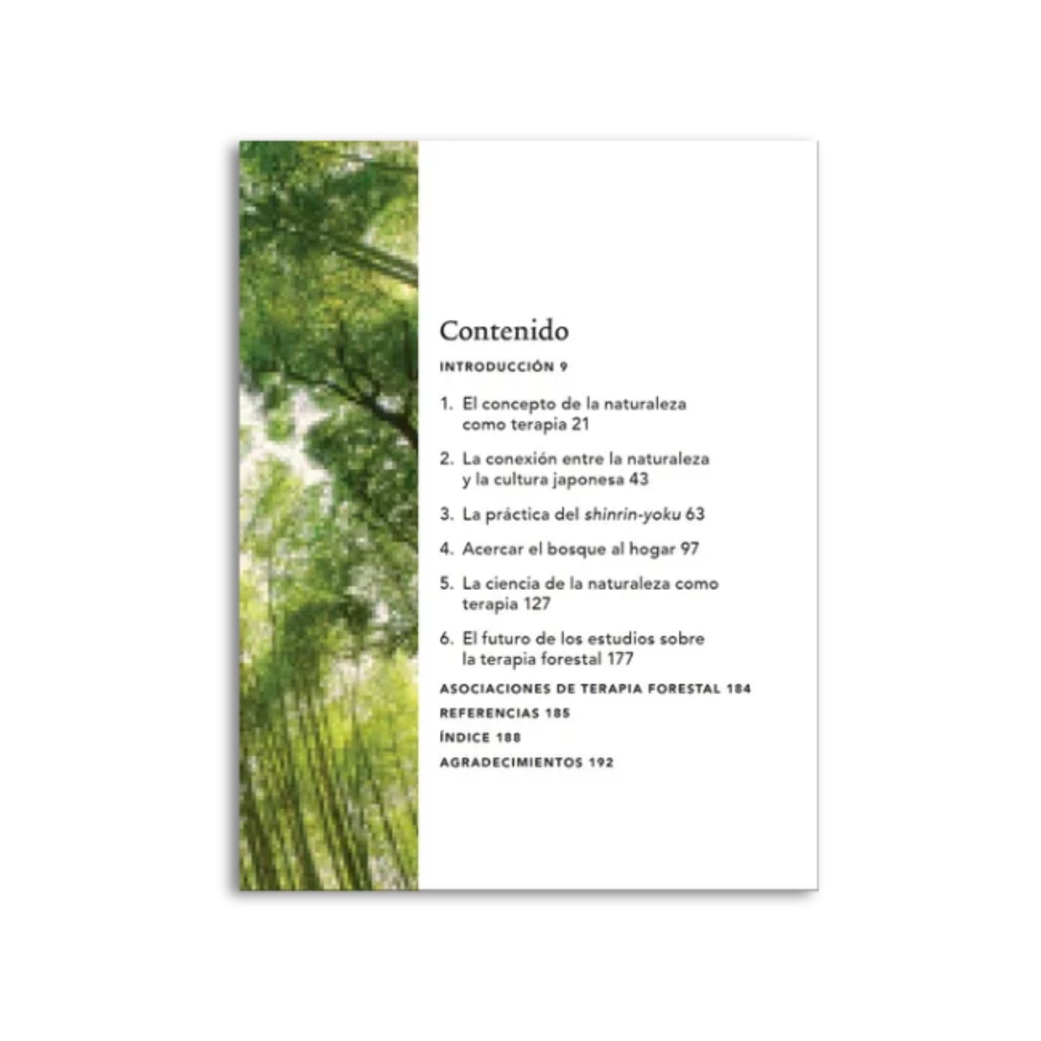 Shinrin-Yoku. Baños curativos de bosque