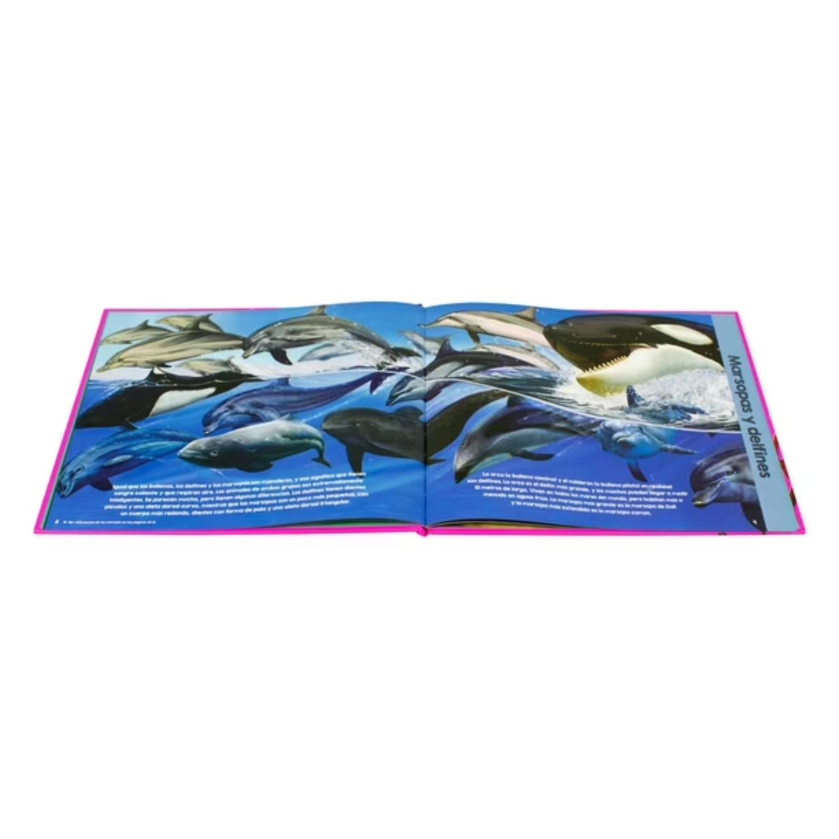 Animales de los oceanos - Garry Fleming