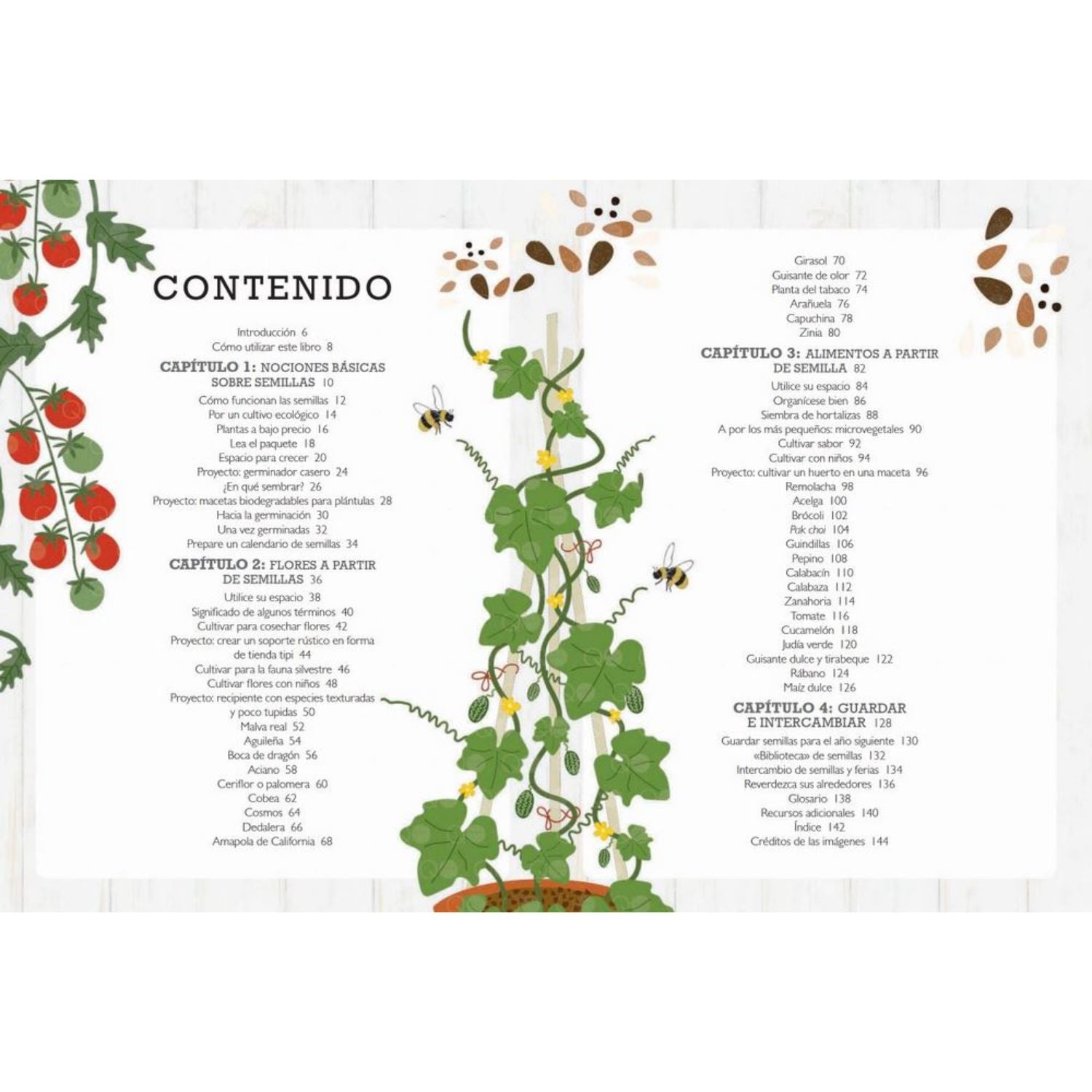 Cultivar plantas a partir de semillas