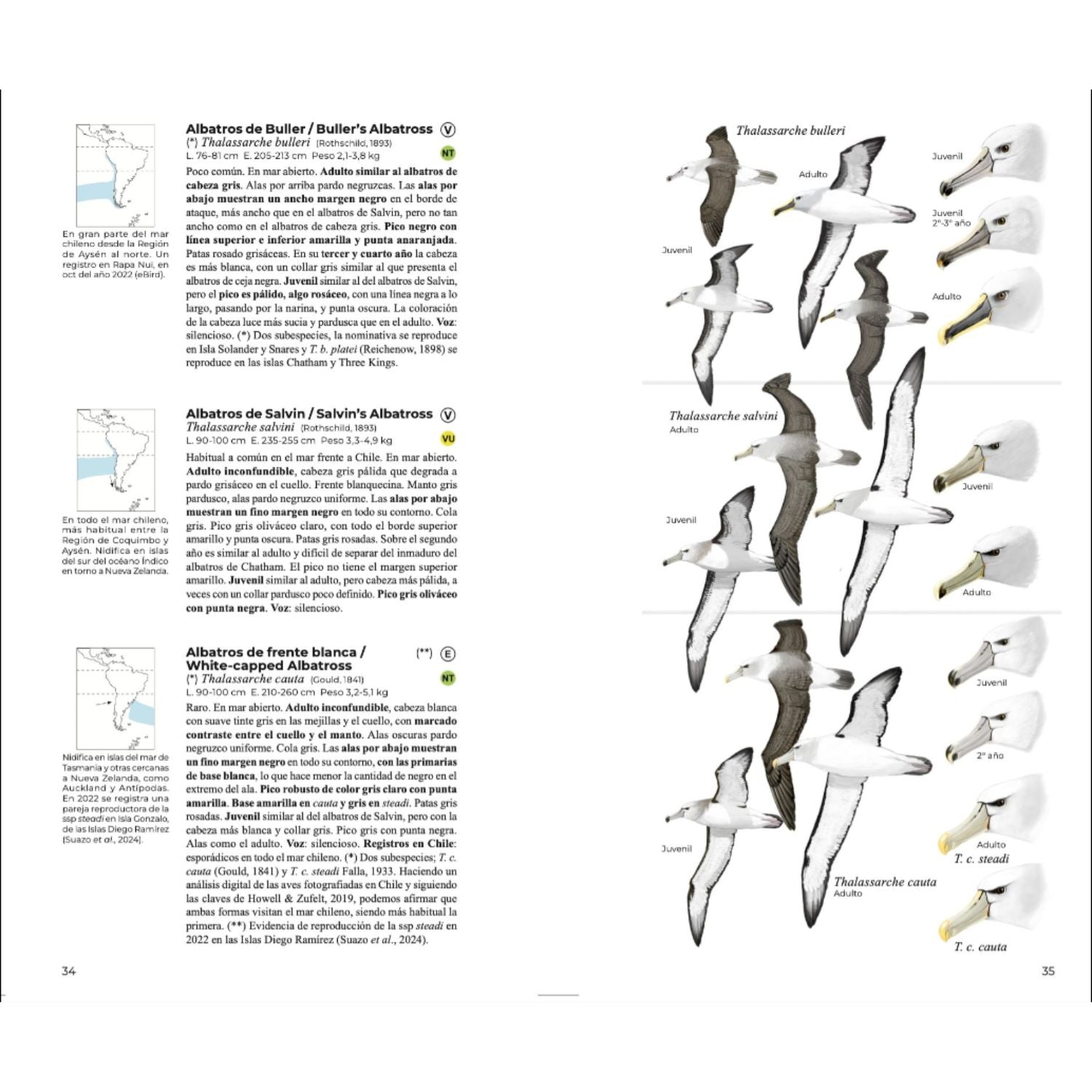 Aves de Chile - Daniel Martinez (Segunda edición)