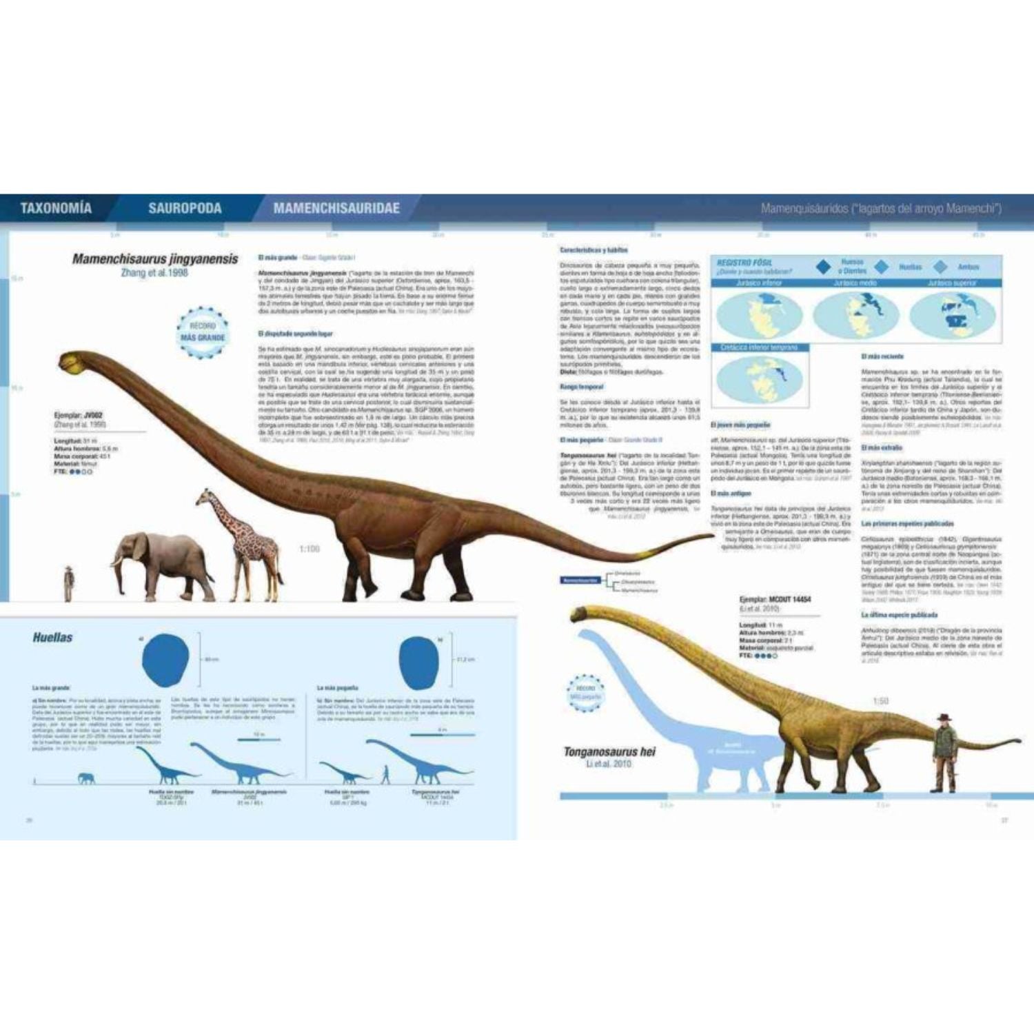 Records y curiosidades de los dinosaurios