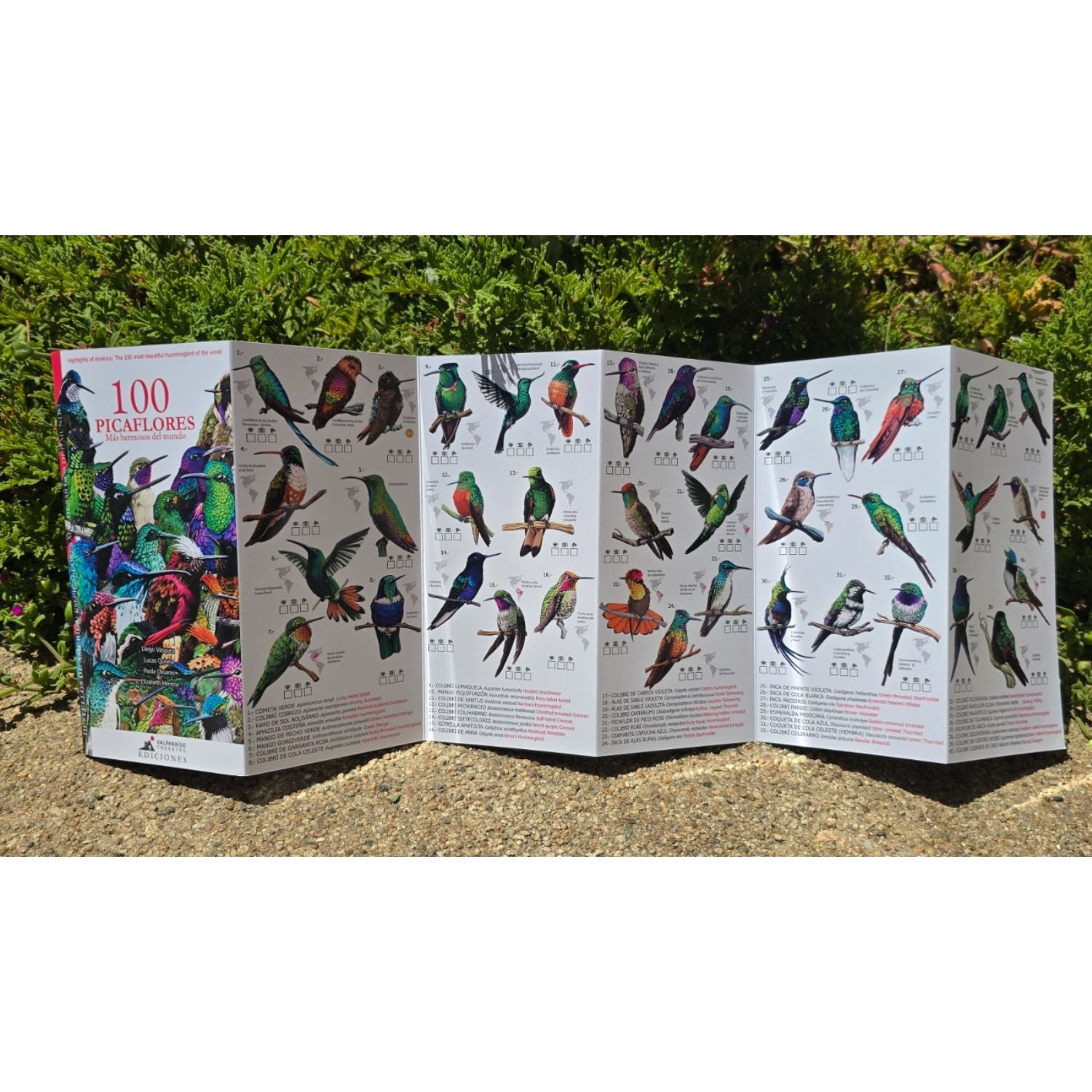 Guia de bolsillo - 100 picaflores más hermosos del mundo